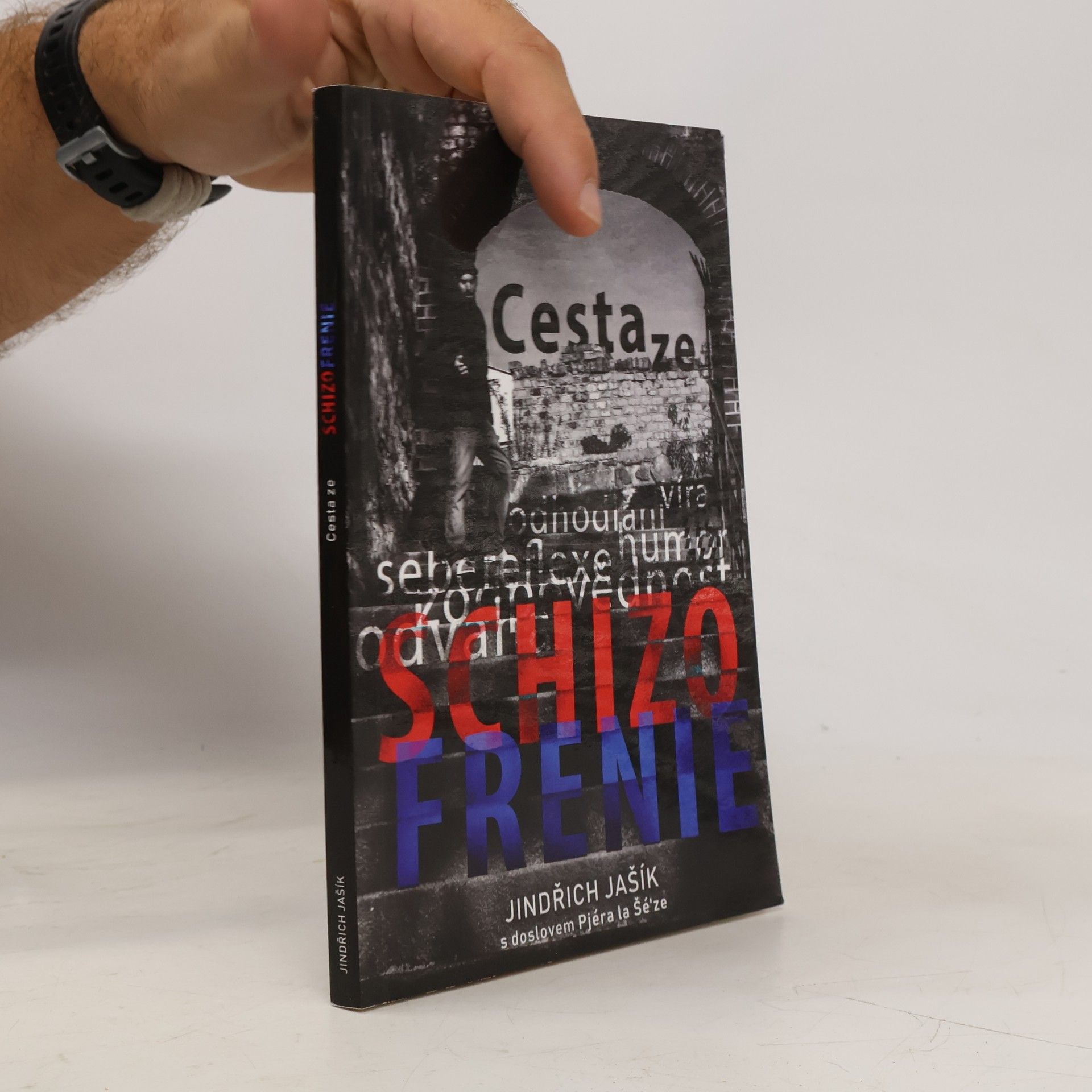 Jindřich Jašík Cesta ze schizofrenie