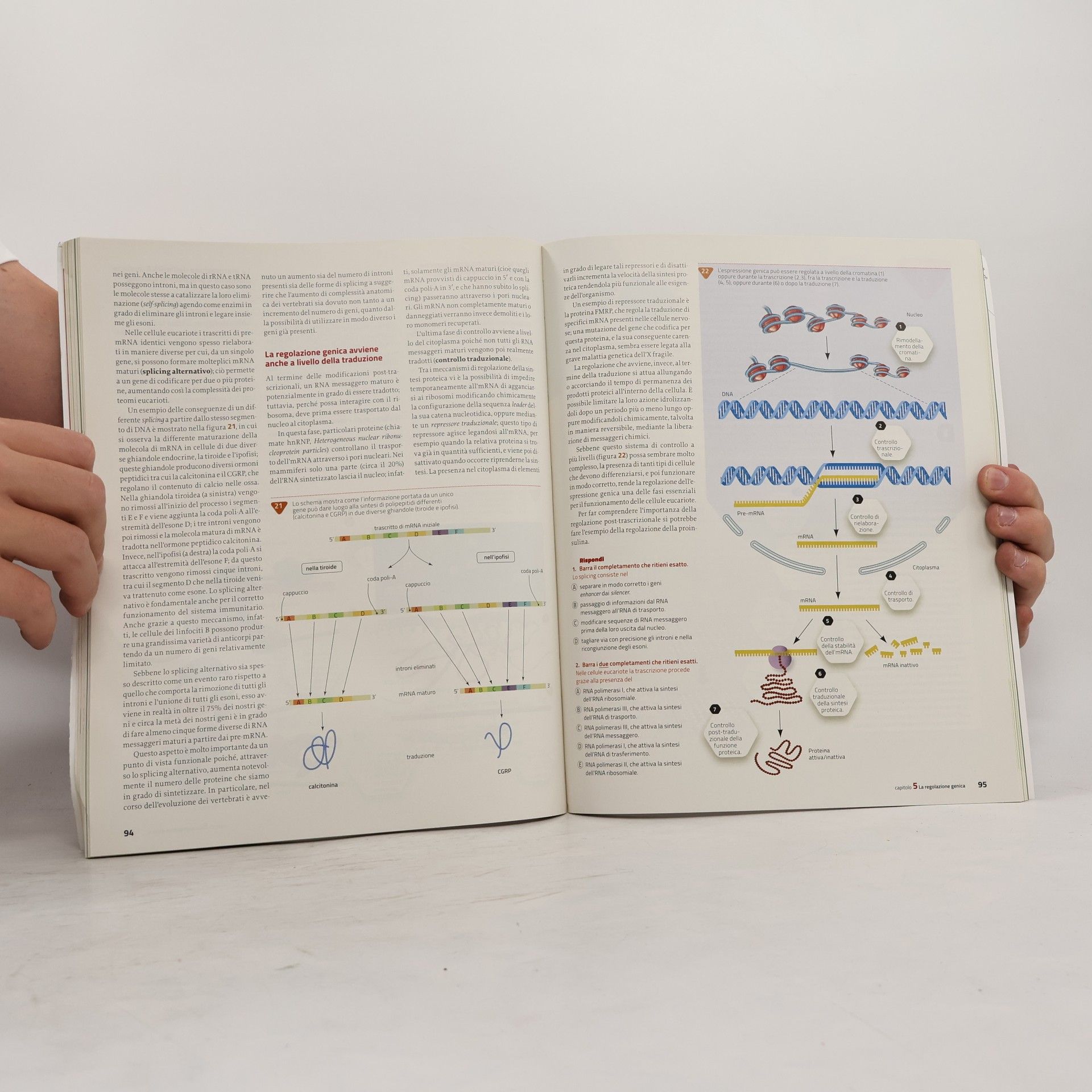 Helena Curtis Percorsi di scienze naturali. Biochimica e biotecnologie. Per le Scuole superiori. Con e-book. Con espansione online