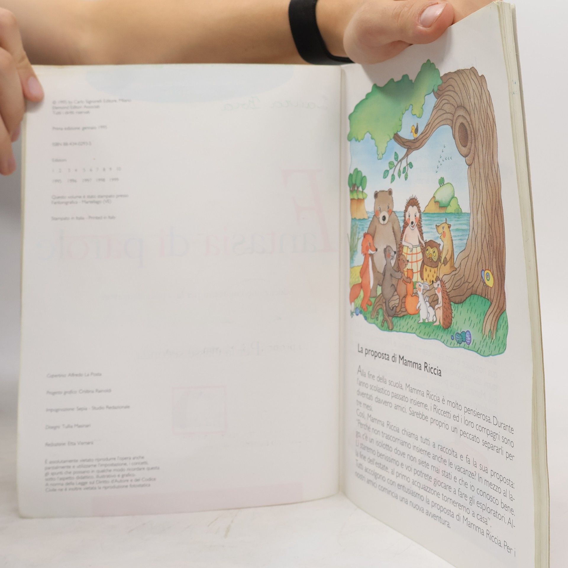 Simona Bonuccelli Bargellini Fantasia di parole. Corso di educazione linguistica. Per la 2ª classe elementare