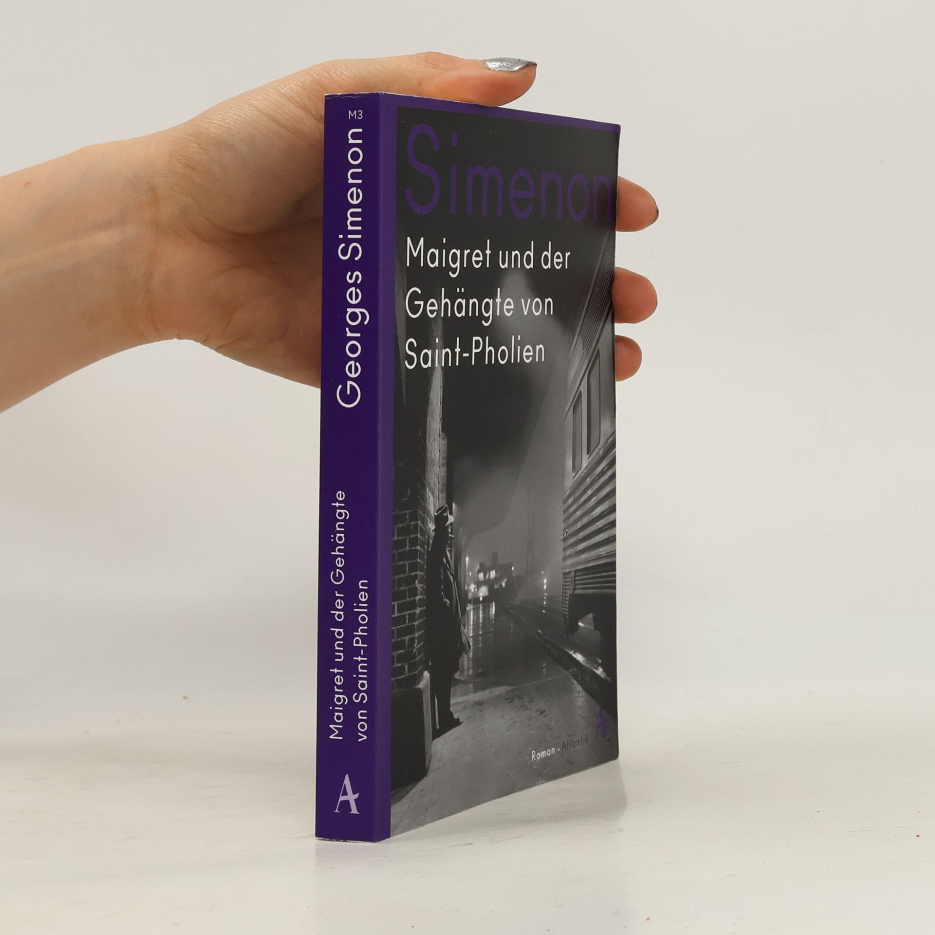 Georges Simenon Maigret und der Gehängte von Saint-Pholien