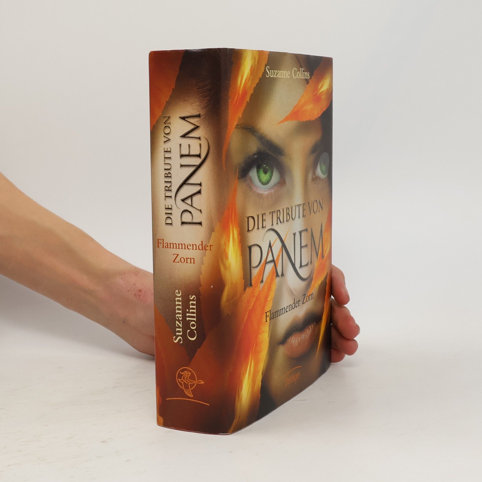 Die Tribute vom panem. Flammender Zorn