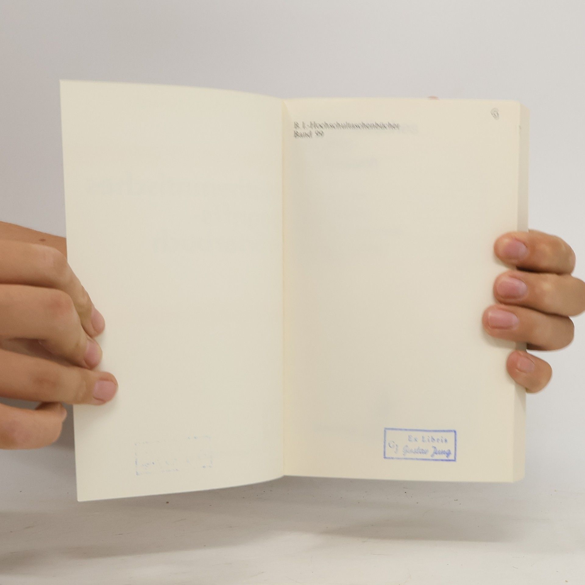 Herbert Meschkowski BI-Hochschultaschenbücher - 99: Mathematisches Begriffswörterbuch