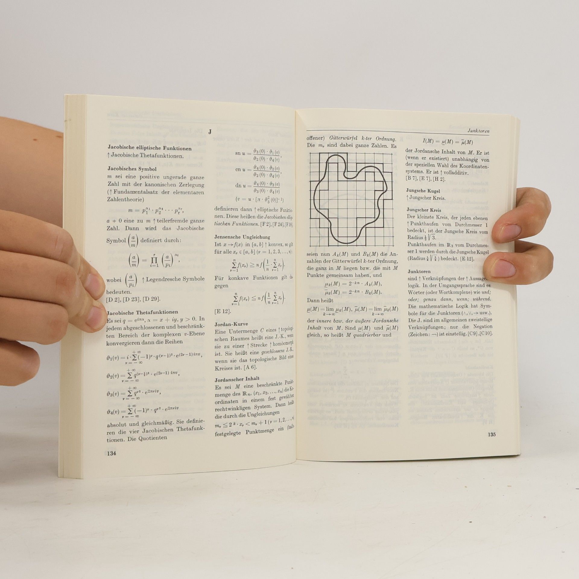 Herbert Meschkowski BI-Hochschultaschenbücher - 99: Mathematisches Begriffswörterbuch