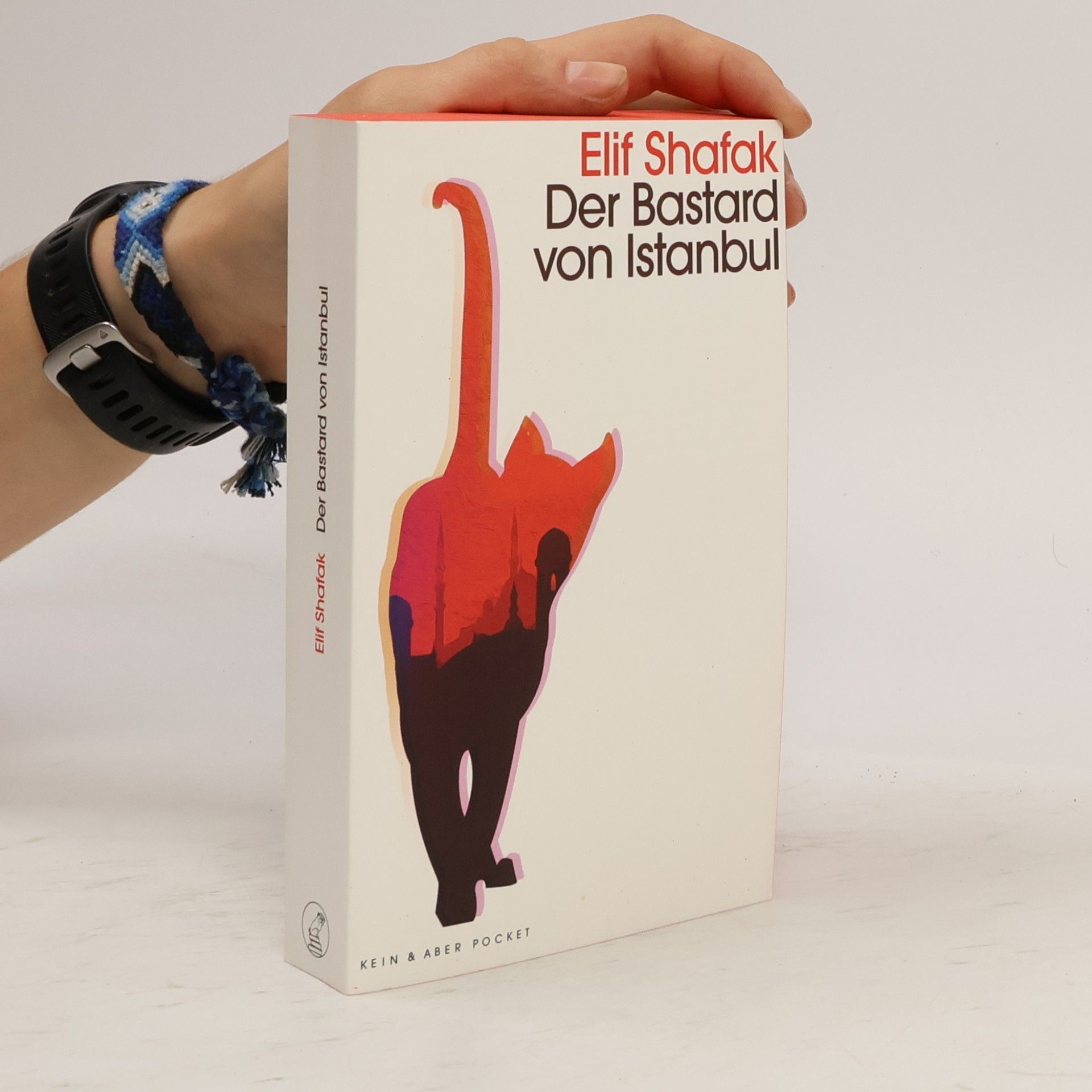 Elif Şafak Der Bastard von Istanbul