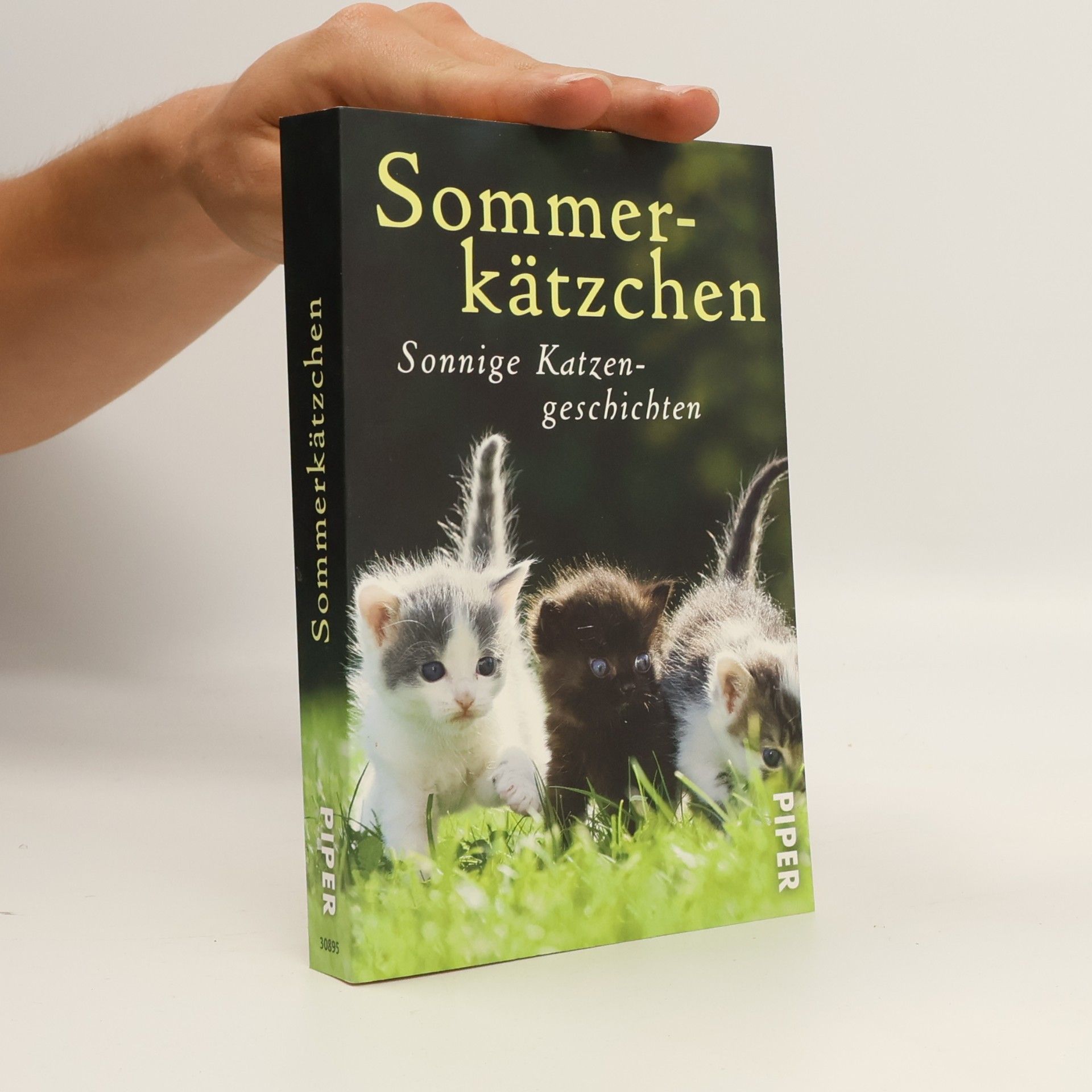 Jone Heer Sommerkätzchen