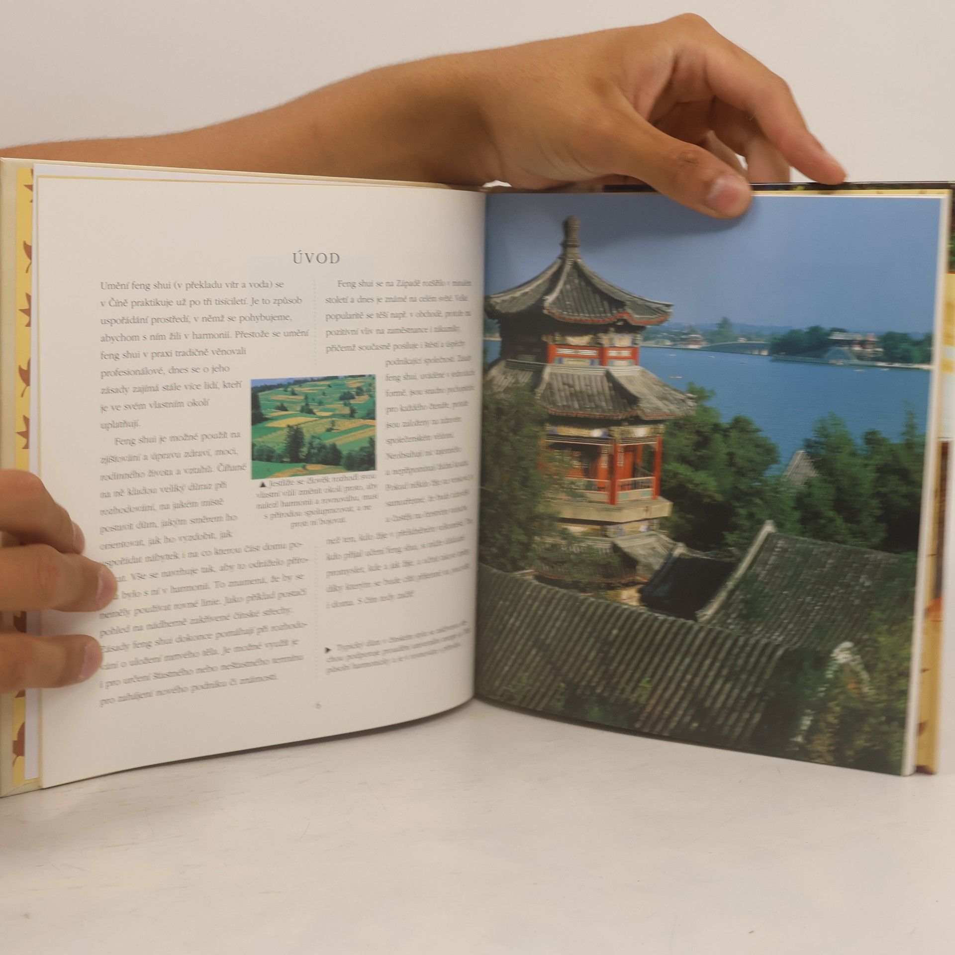Richard Templar Feng shui