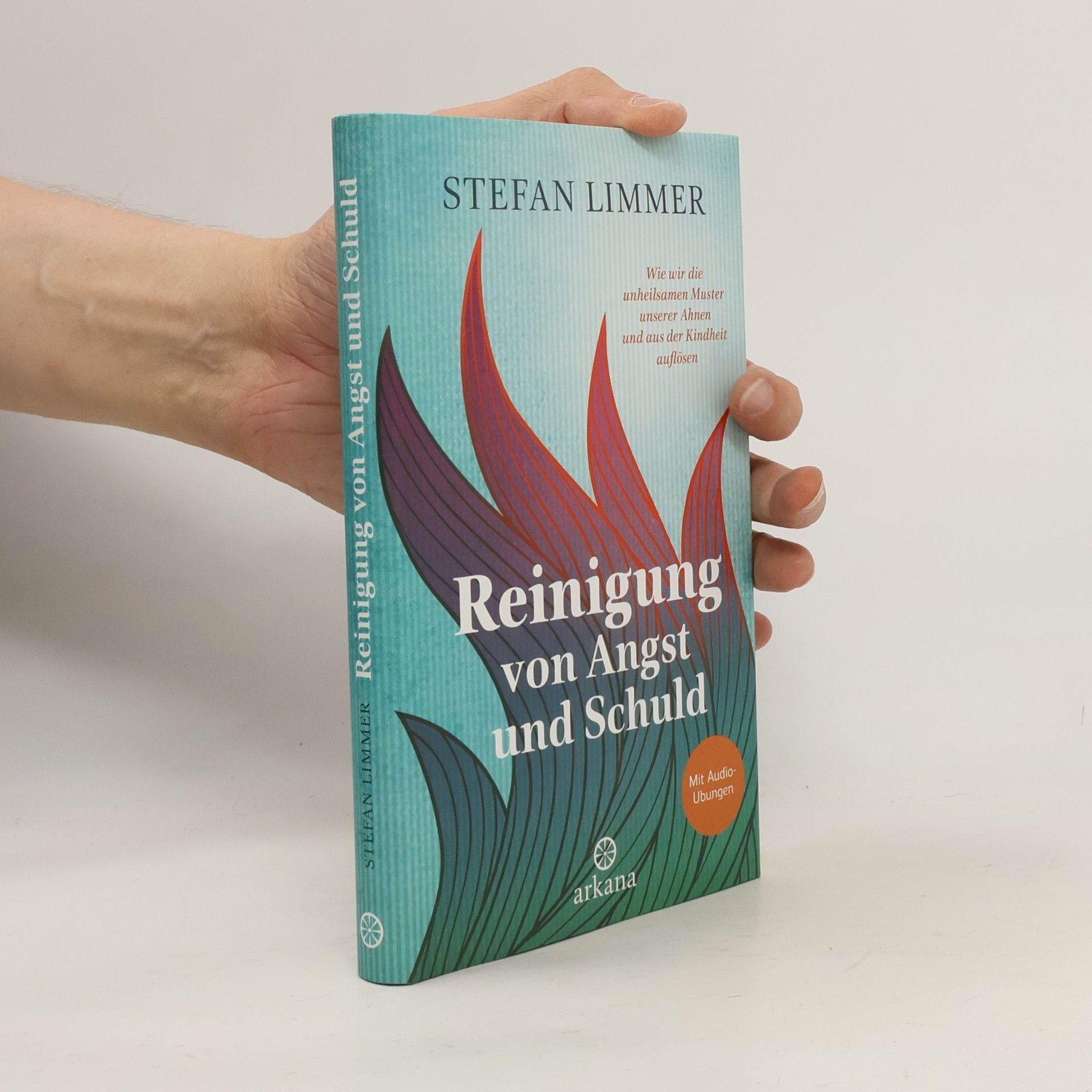 Stefan Limmer Reinigung von Angst und Schuld
