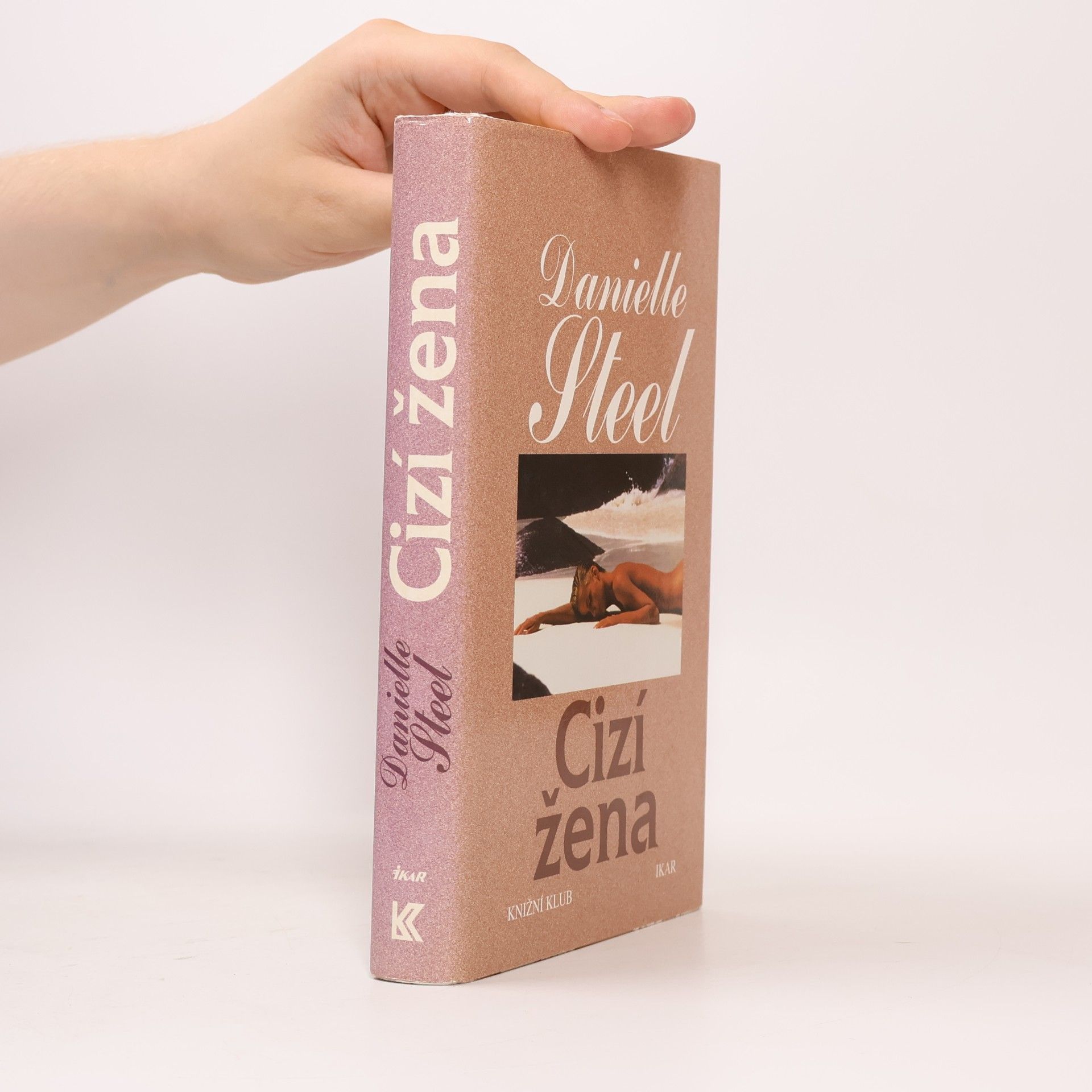 Danielle Steel Cizí žena