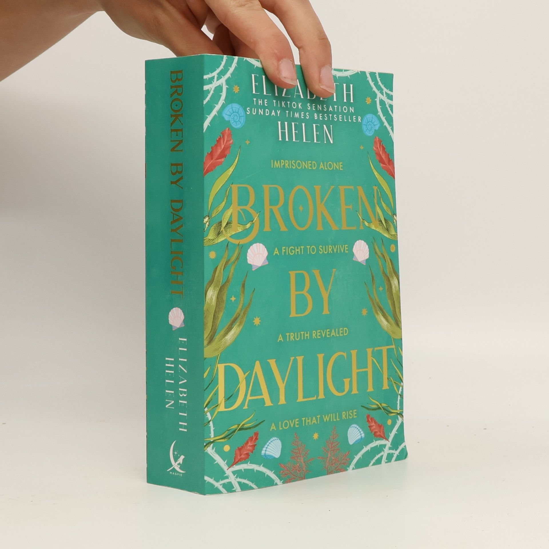 Elizabeth Helen Beasts of the Briar - 4: Broken by Daylight