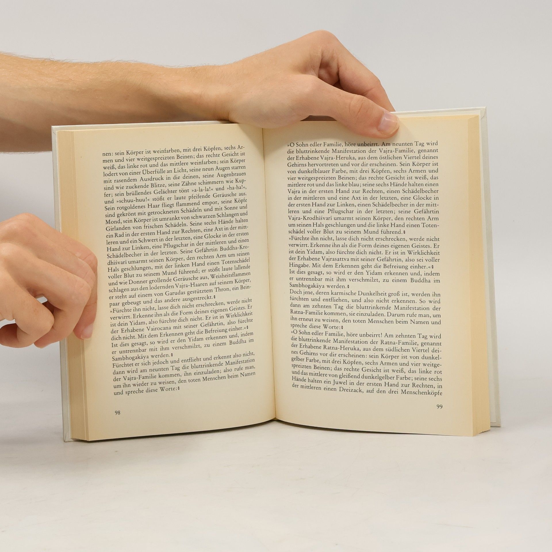 Auteurscollectief Das Totenbuch der Tibeter