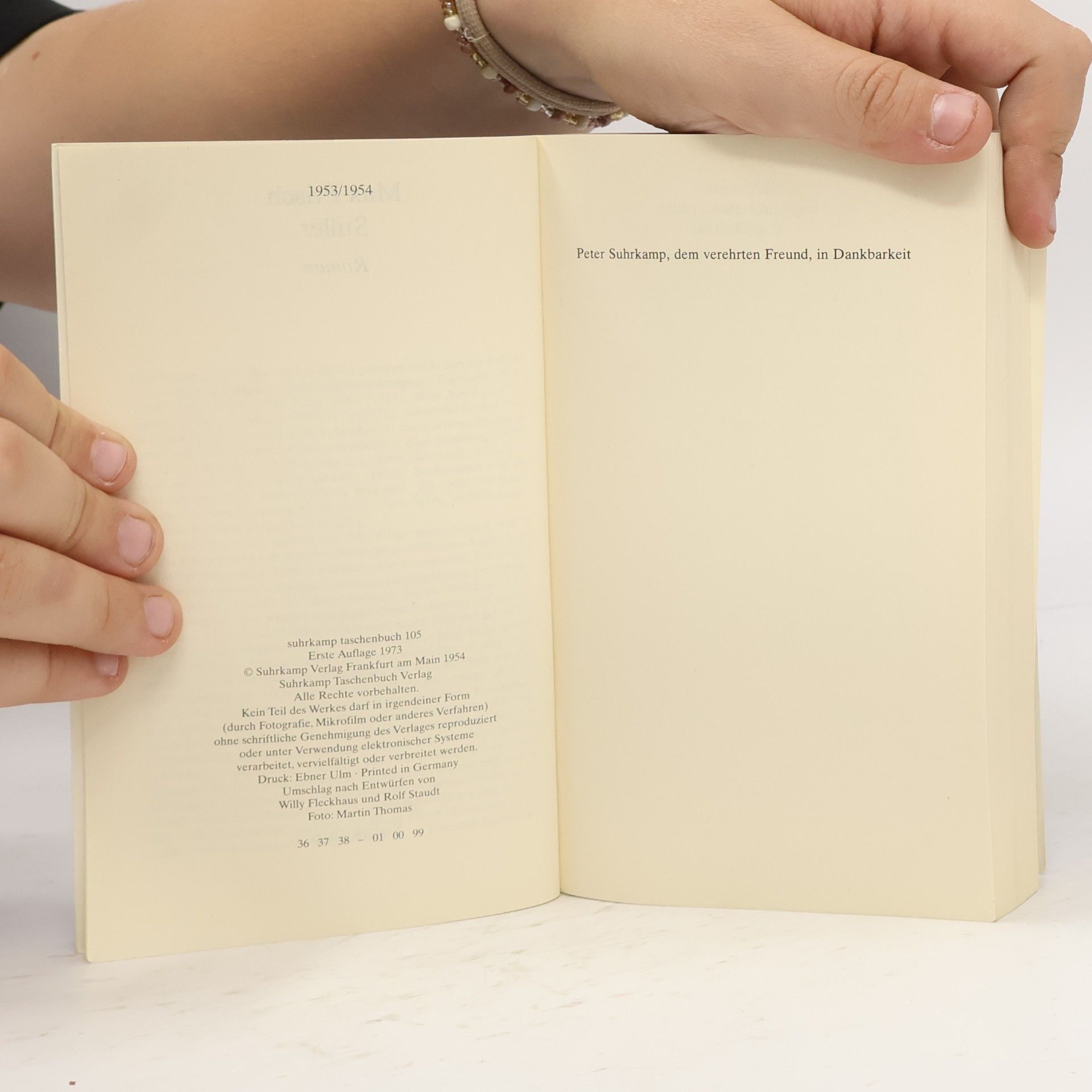 Max Frisch Stiller