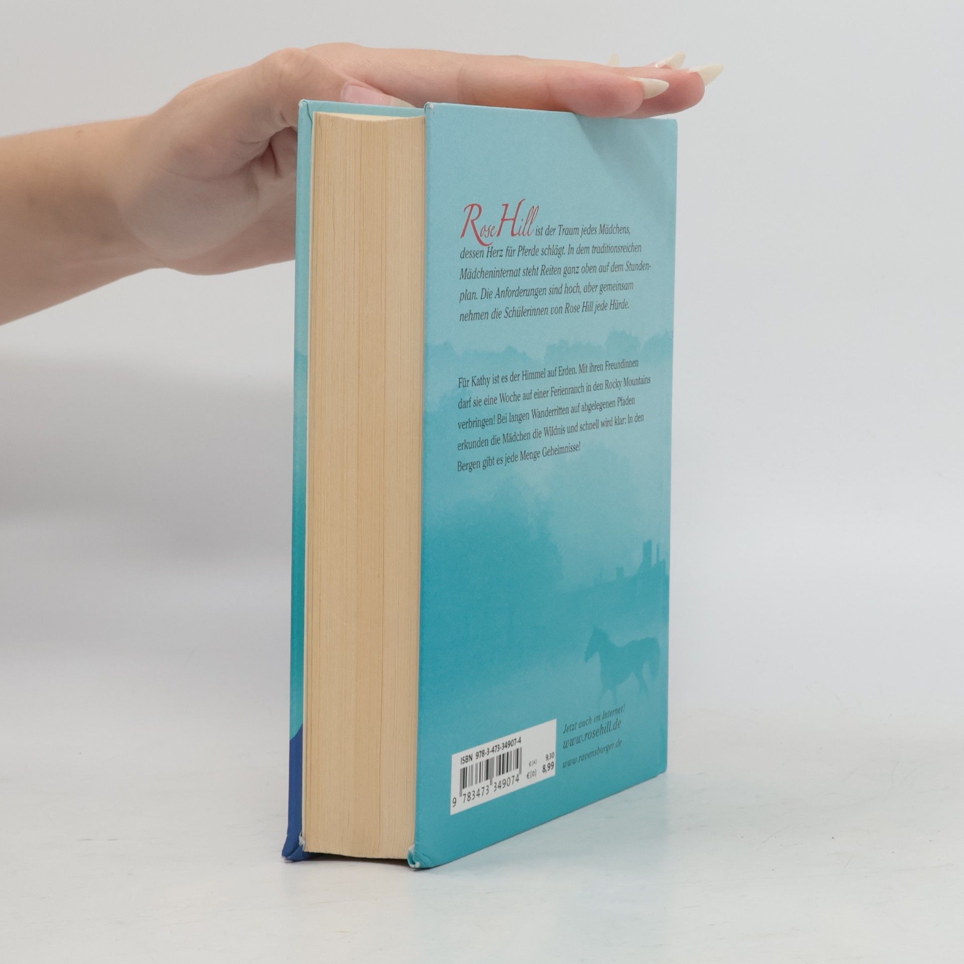 Lauren Brooke Rose Hill - Ein goldenes Geheimnis