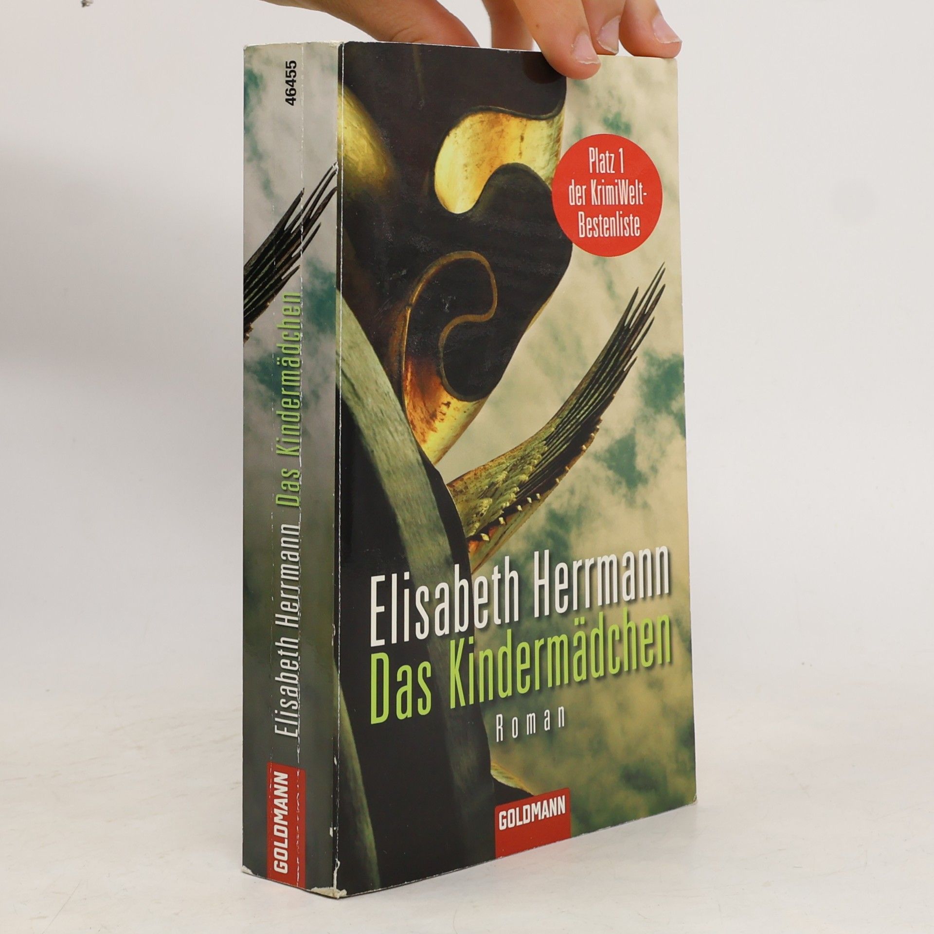 Elisabeth Hermann Das Kindermädchen