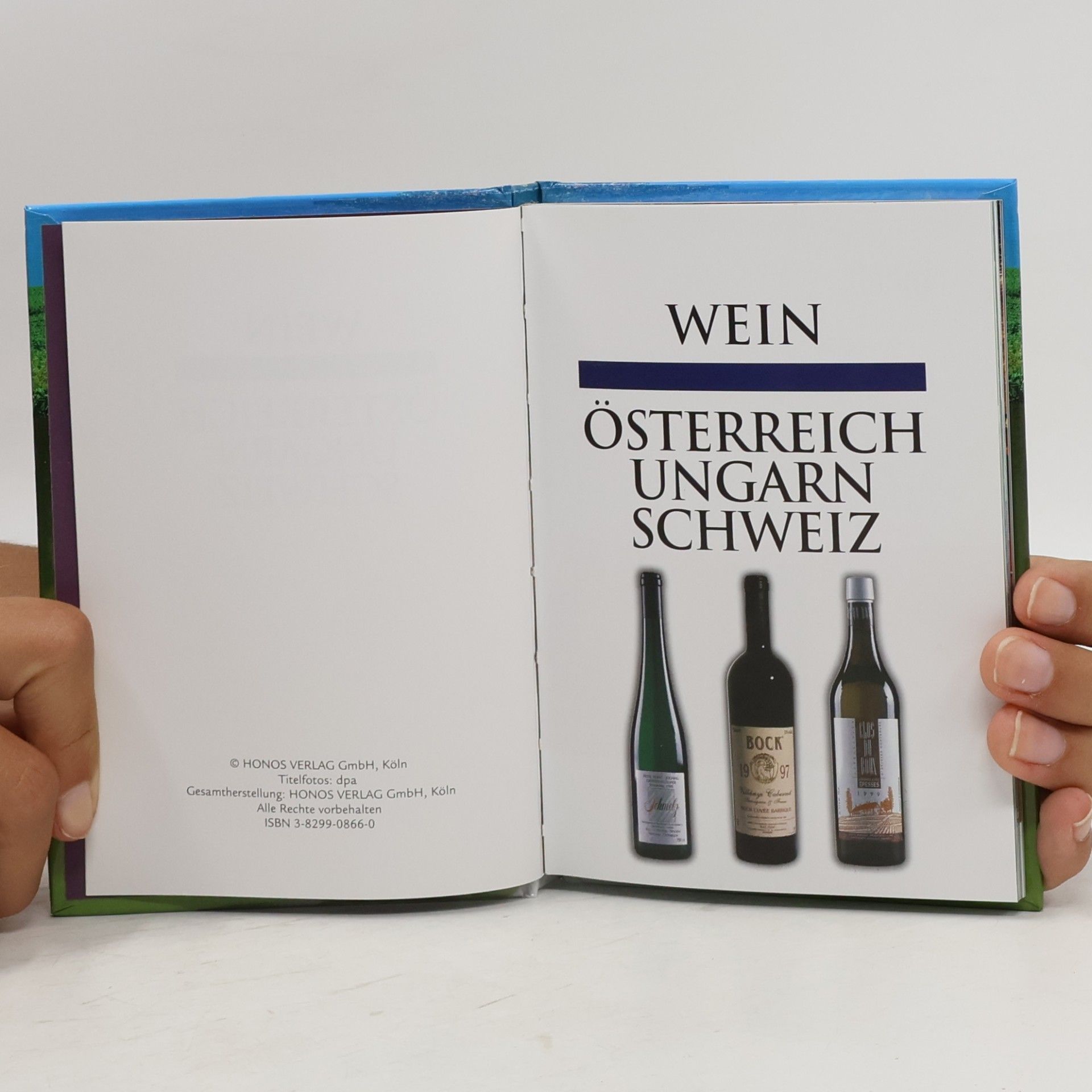 Autorenkollektiv Wein - Österreich, Ungarn, Schweiz