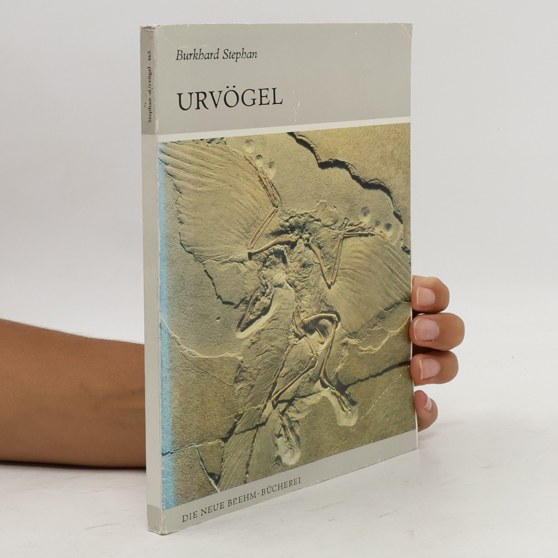 Burkhard Stephan Urvögel