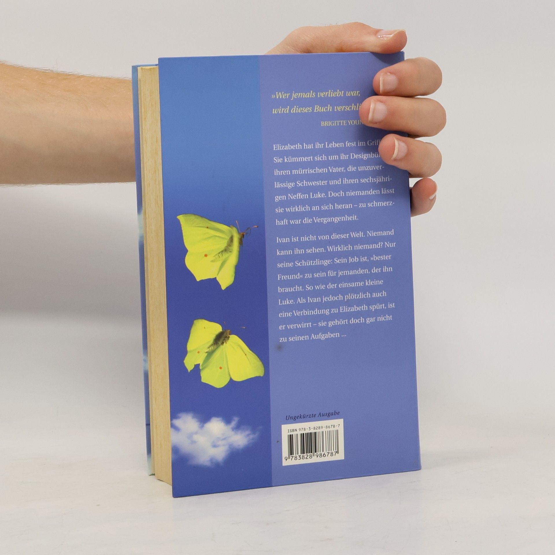 Cecelia Ahern Zwischen Himmel und Liebe