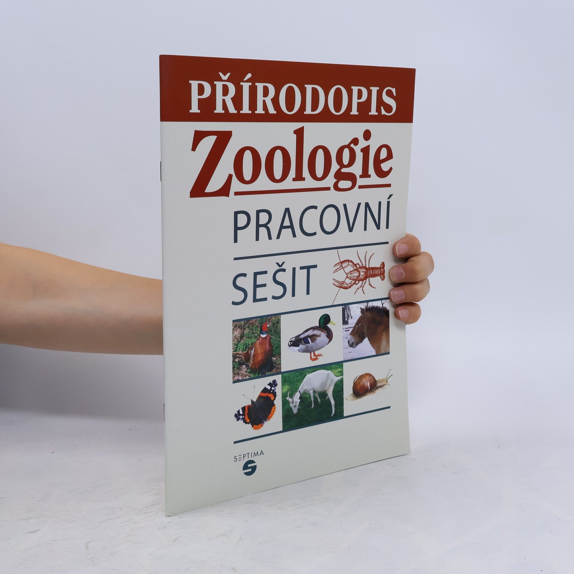 Přírodopis: Zoologie - pracovní sešit pro praktické ZŠ