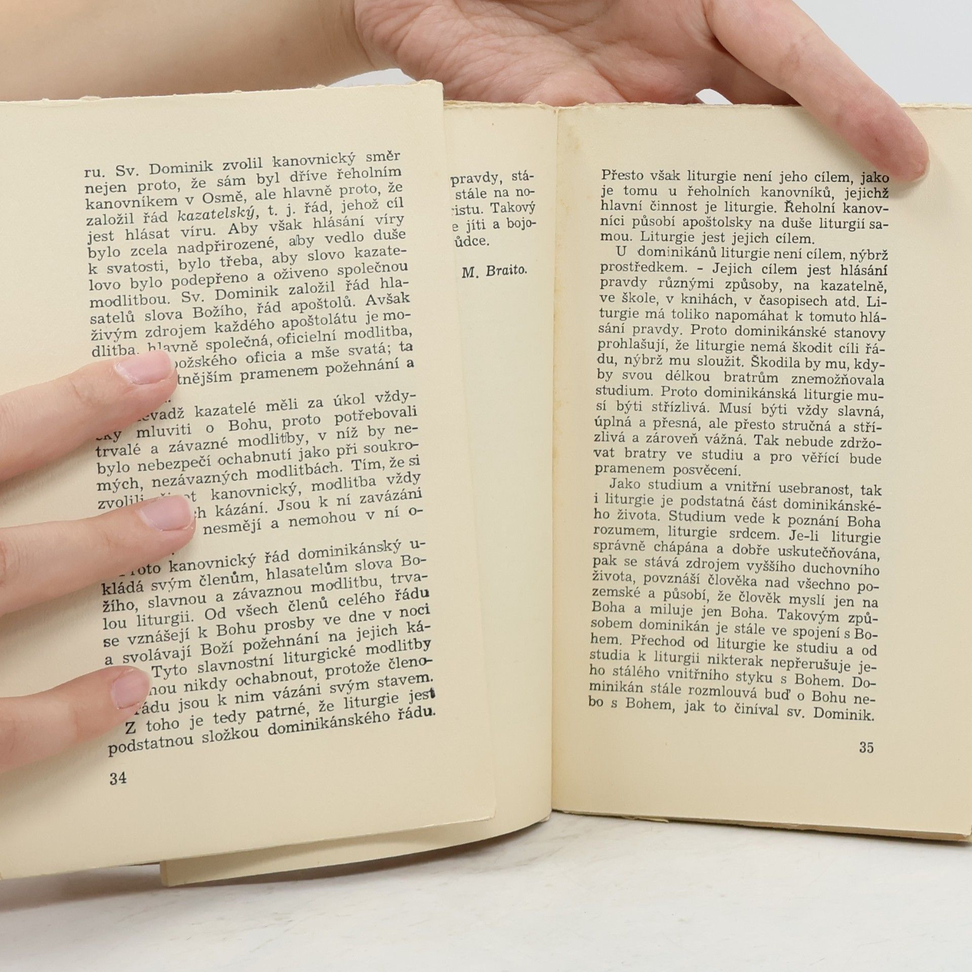 Various authors Dominikáni: Co jsou a co chtějí