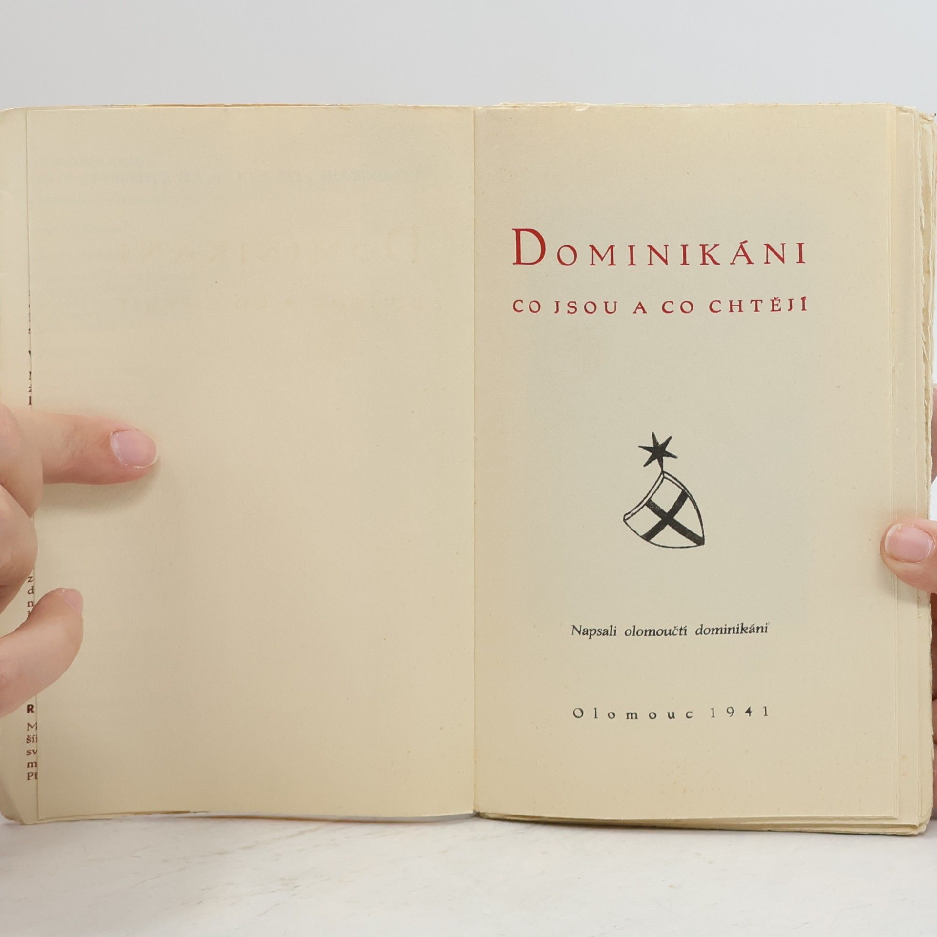 Various authors Dominikáni: Co jsou a co chtějí