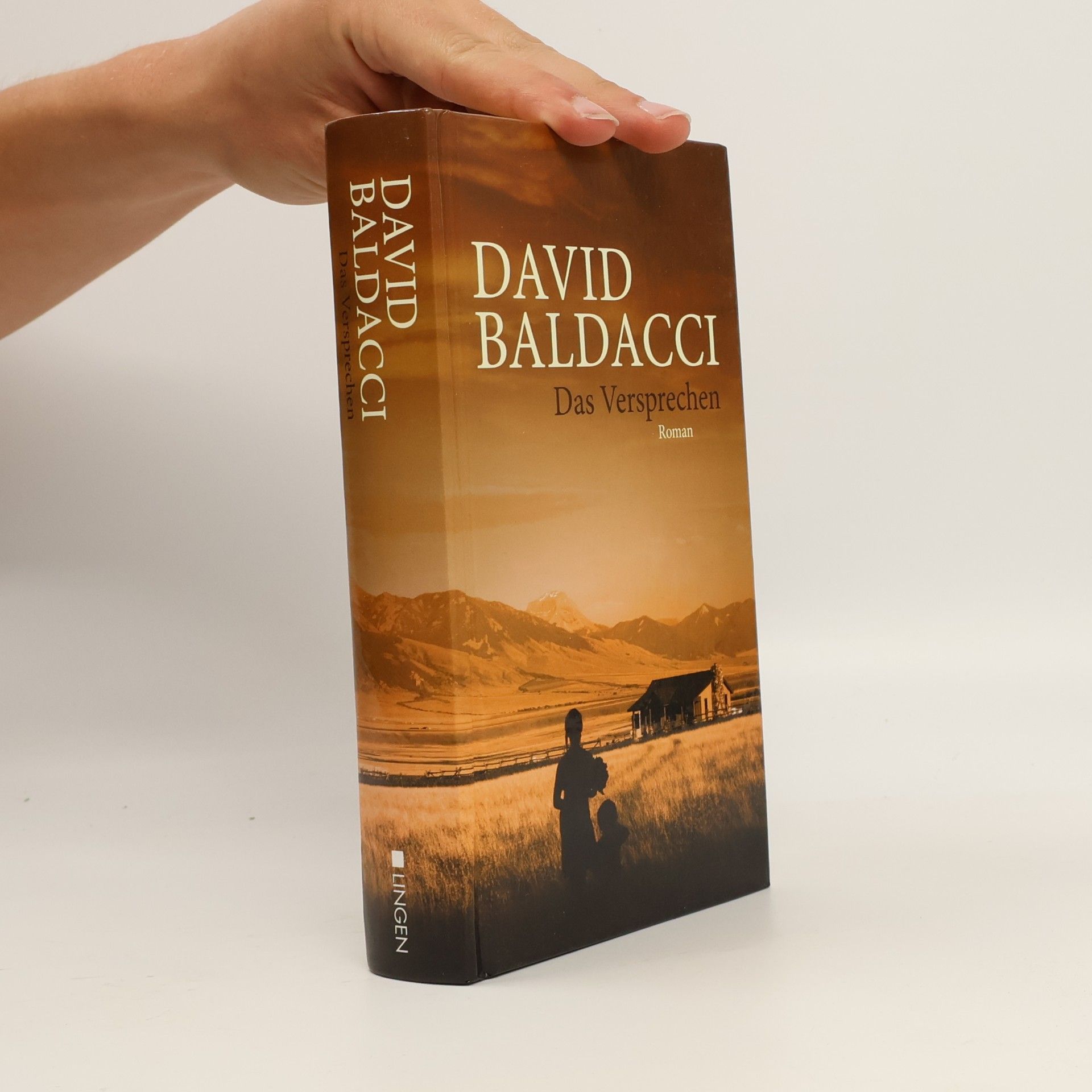 David Baldacci Das Versprechen