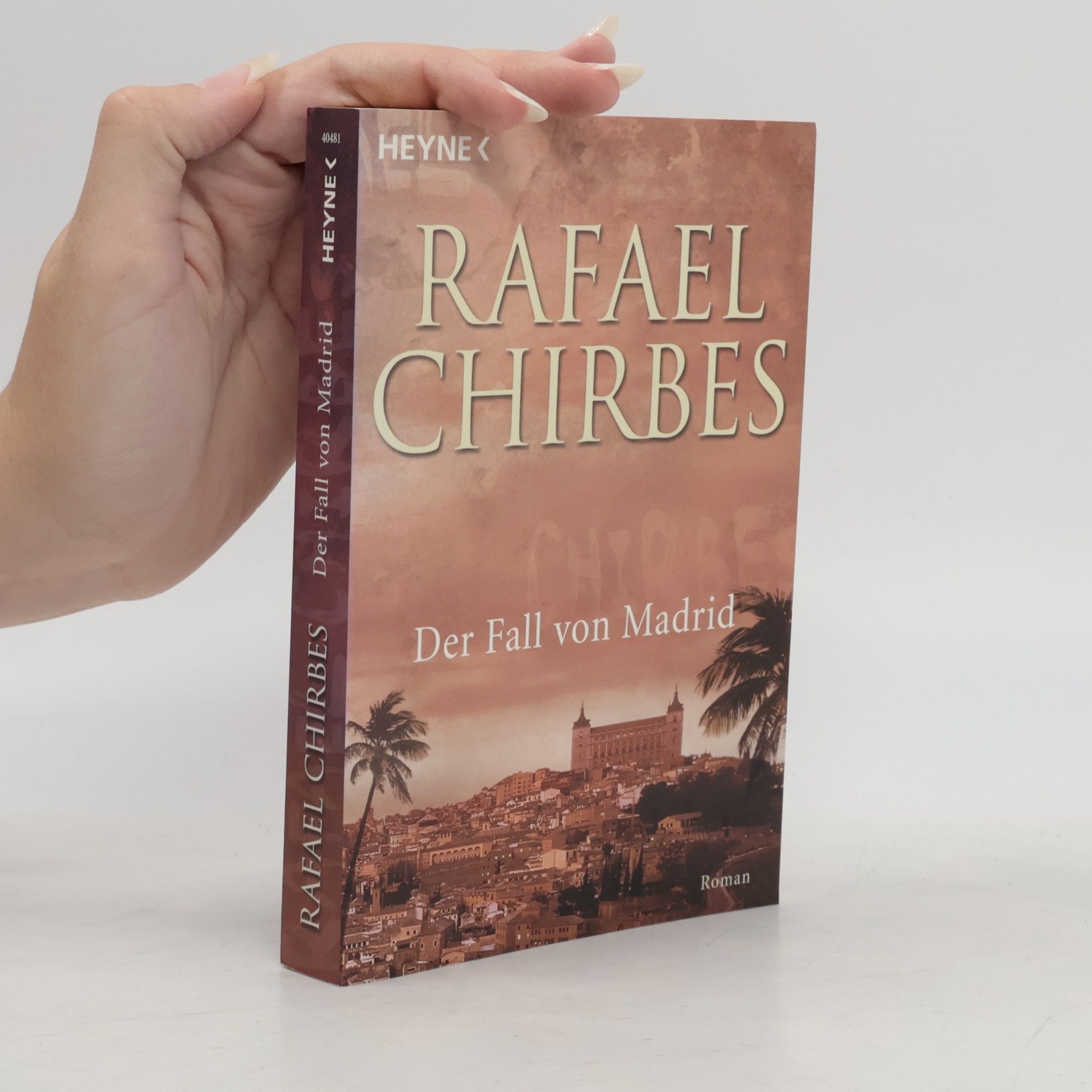 Rafael Chirbes Der Fall von Madrid