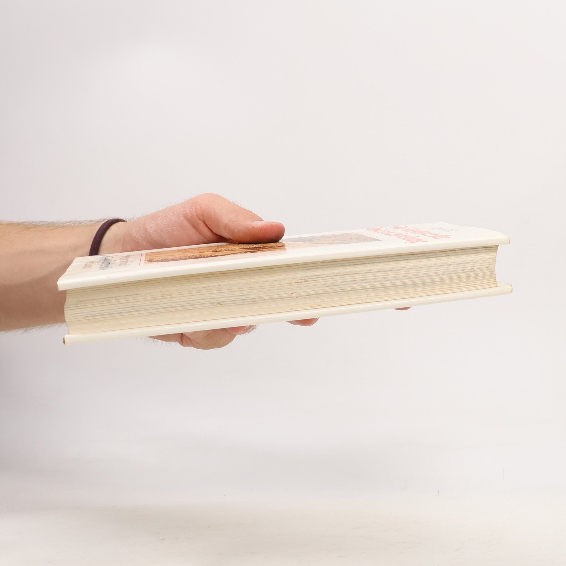 Hans Einsle Das Abenteuer der biblischen Forschung