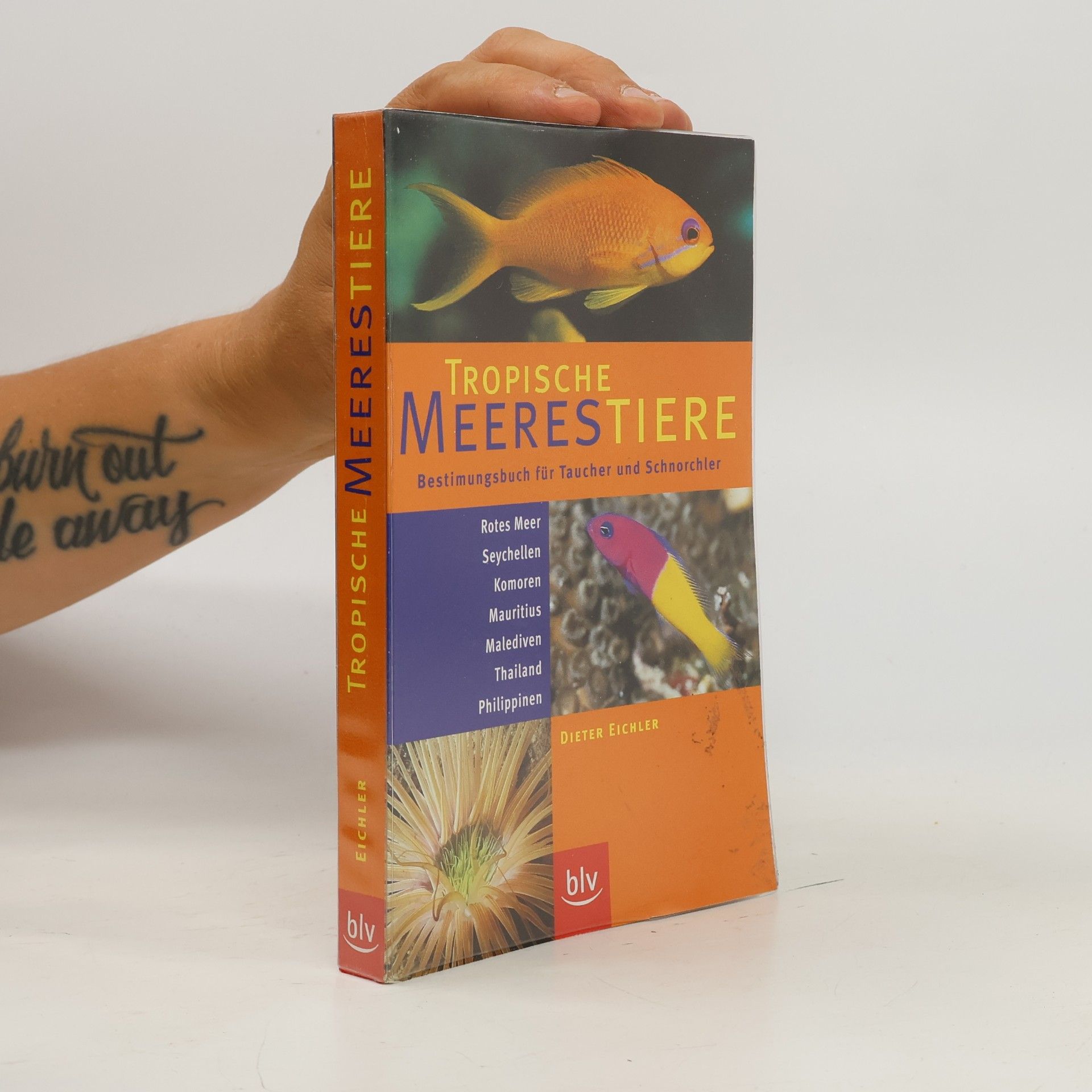 Dieter Eichler Tropische Meerestiere