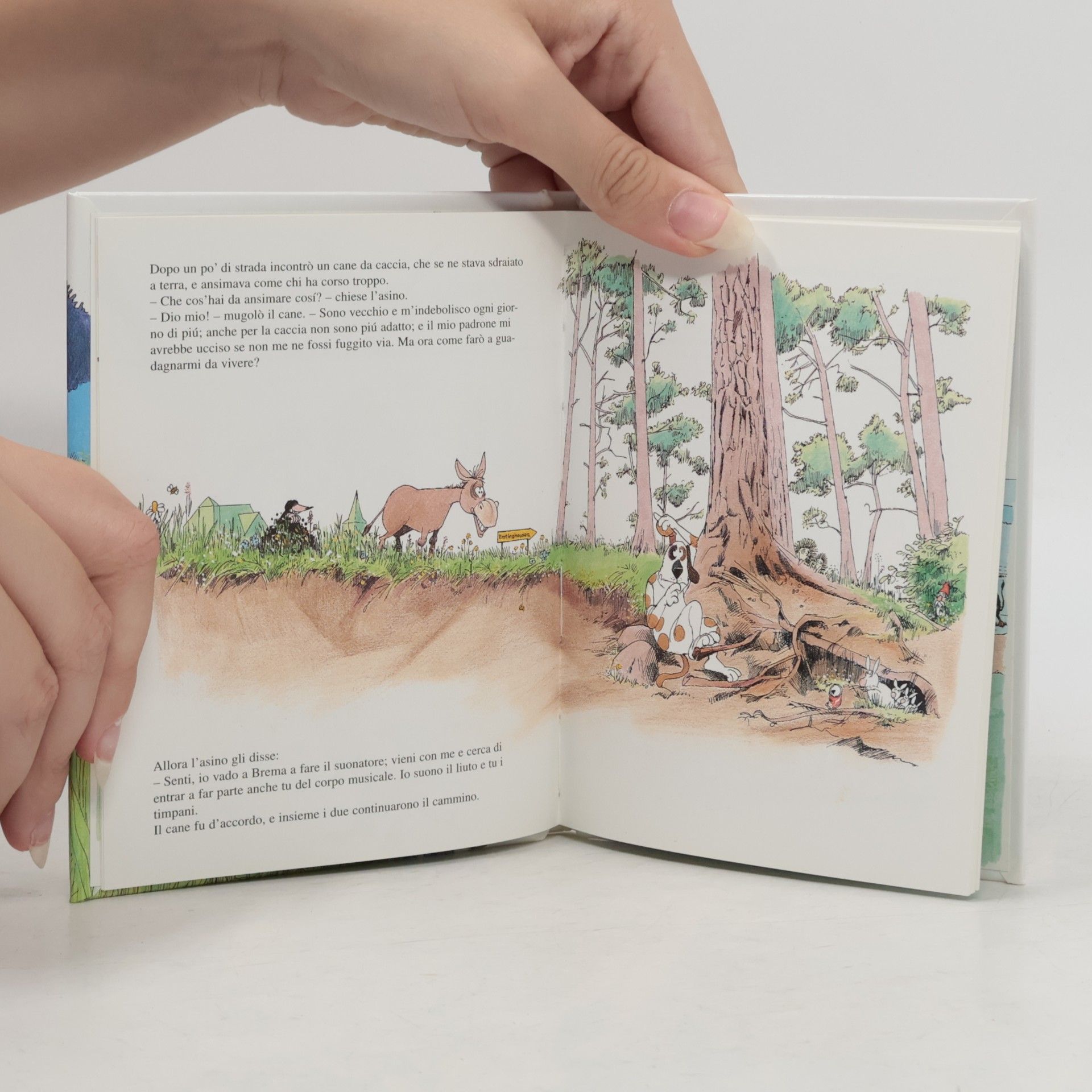 Wilhelm Grimm I suonatori di Brema