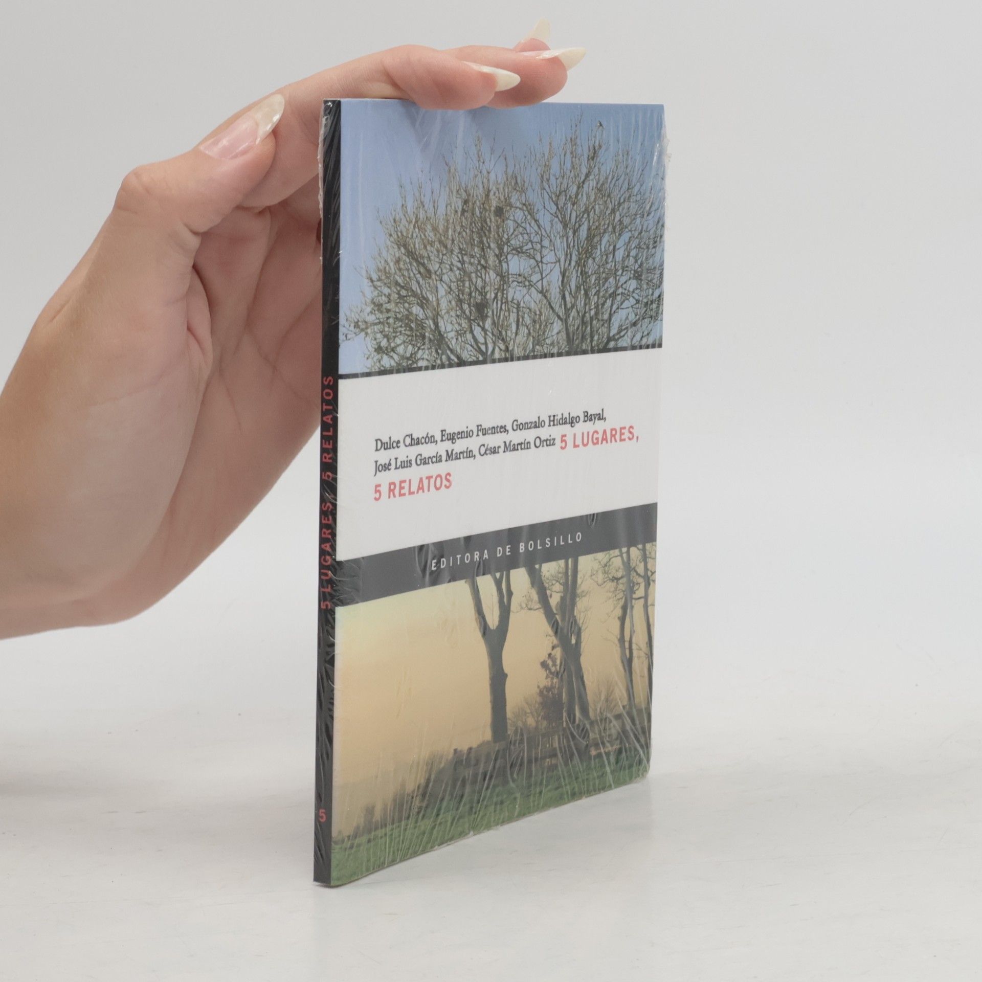Various authors 5 Lugares, 5 Relatos