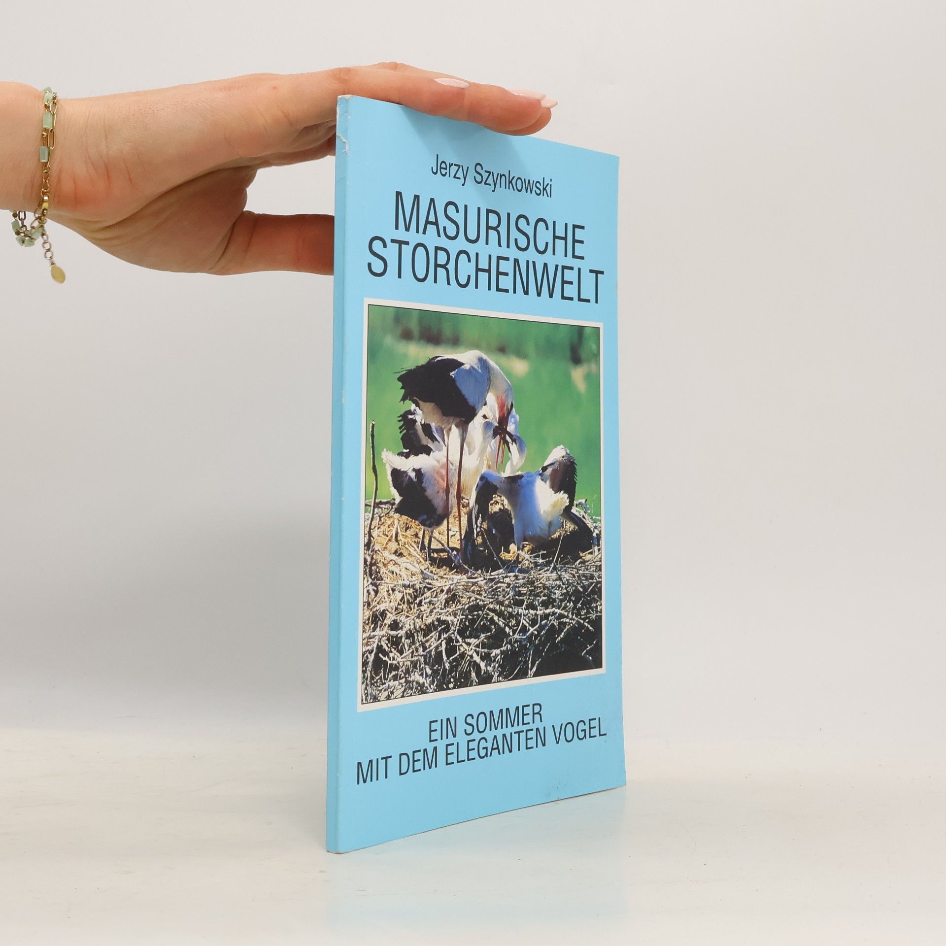Masurische Storchenwelt