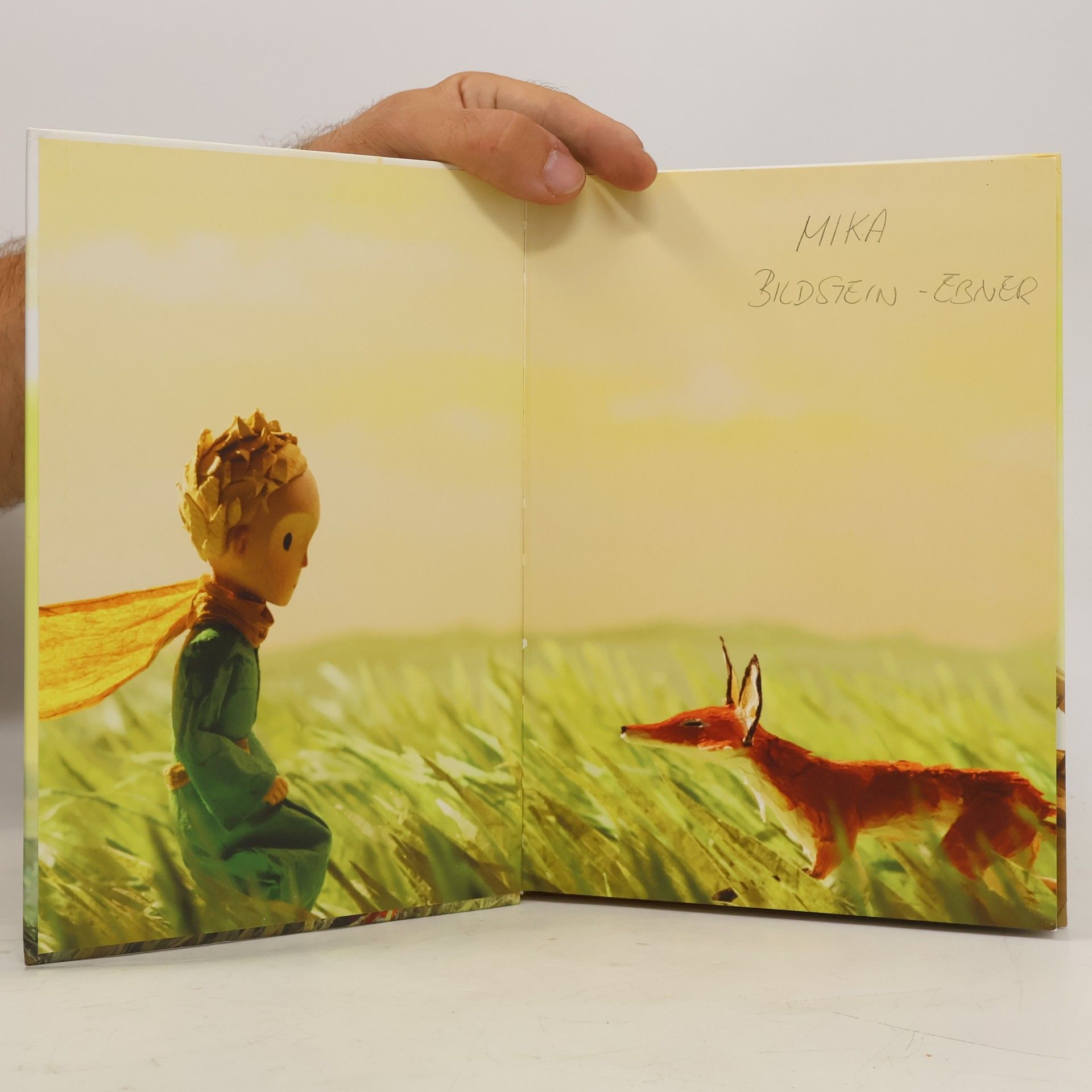 Nadja Fendrich Der kleine Prinz – das Vorlesebuch