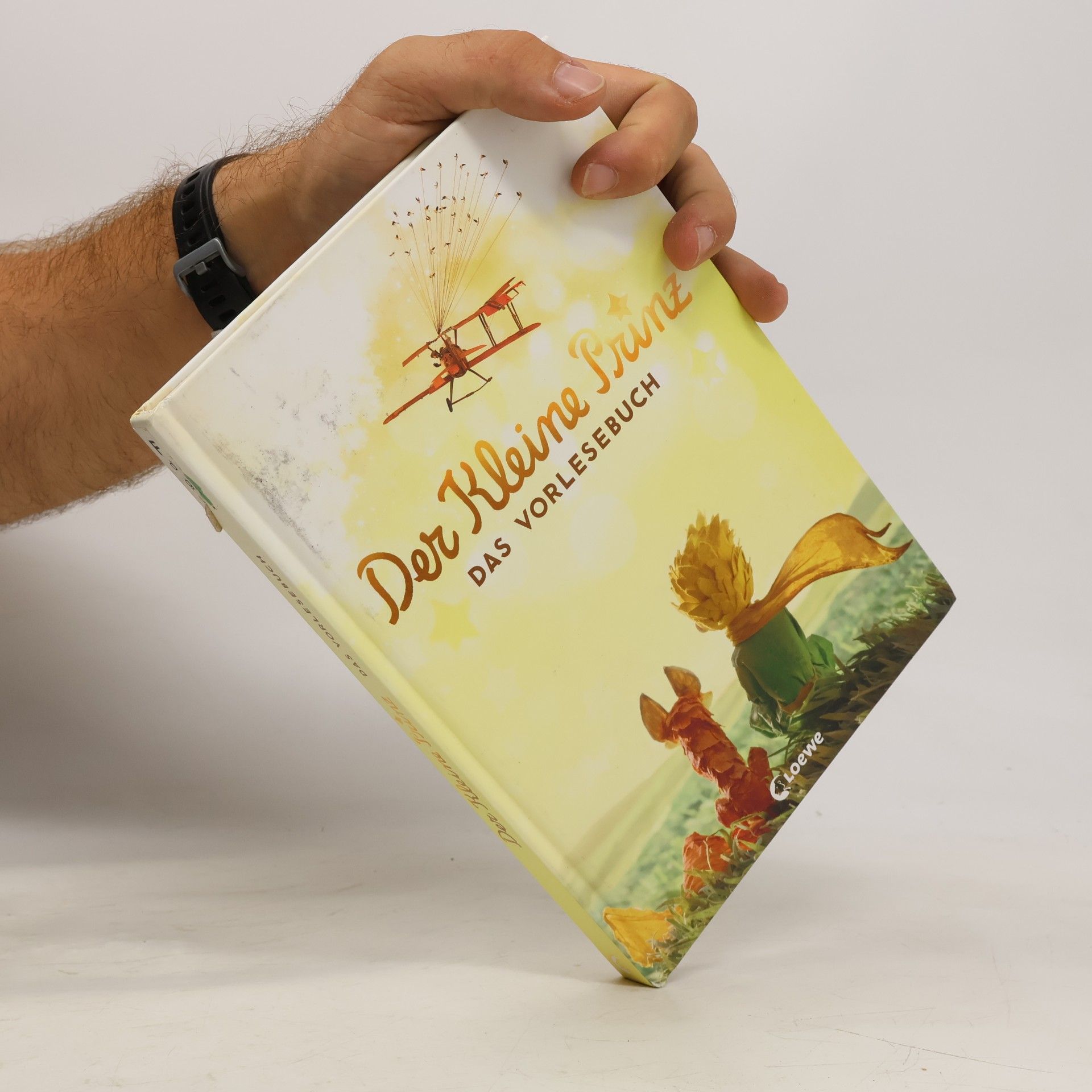 Nadja Fendrich Der kleine Prinz – das Vorlesebuch