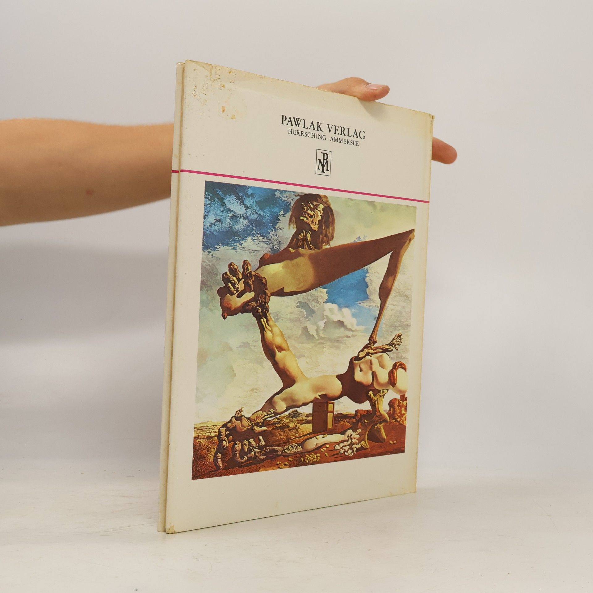 Simon Wilson Surrealismus. Mit 48 Farbtafeln