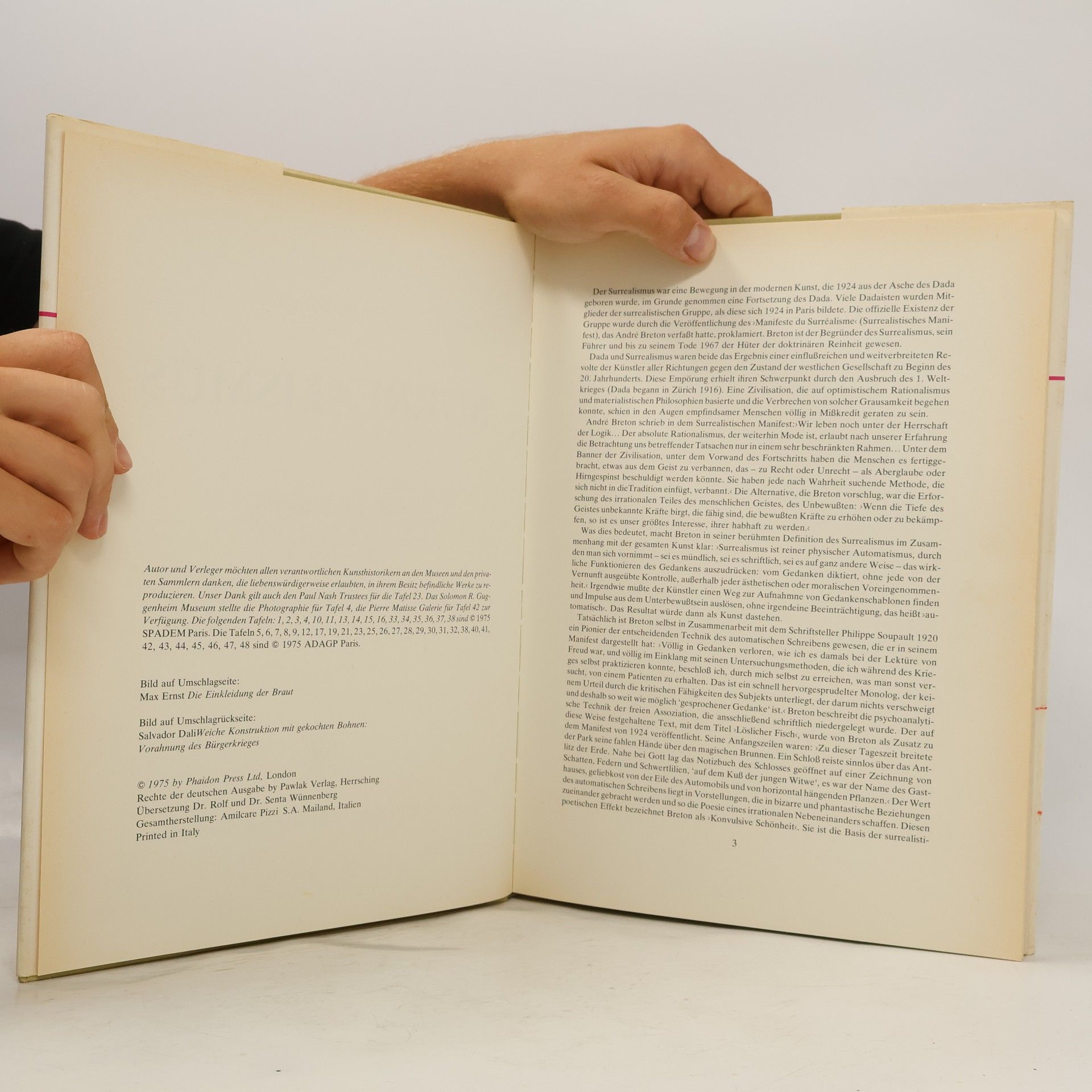 Simon Wilson Surrealismus. Mit 48 Farbtafeln