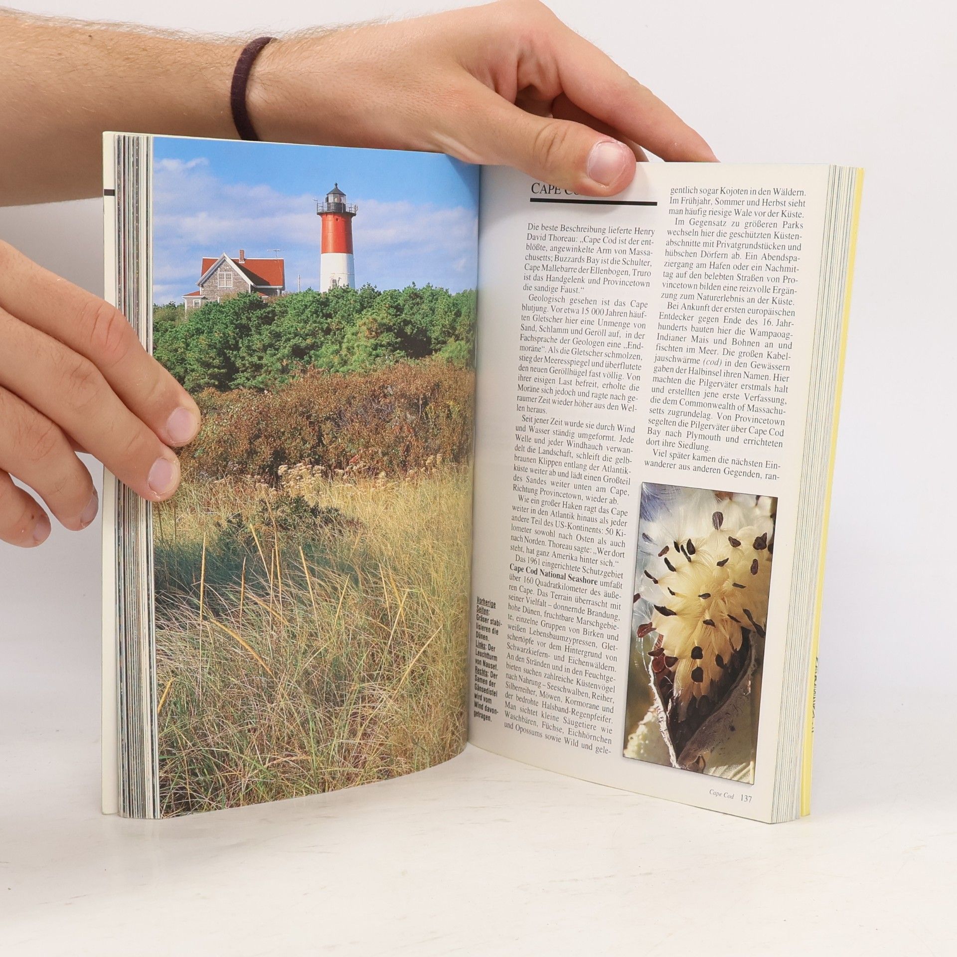 John Gattuso USA, Nationalparks Ost