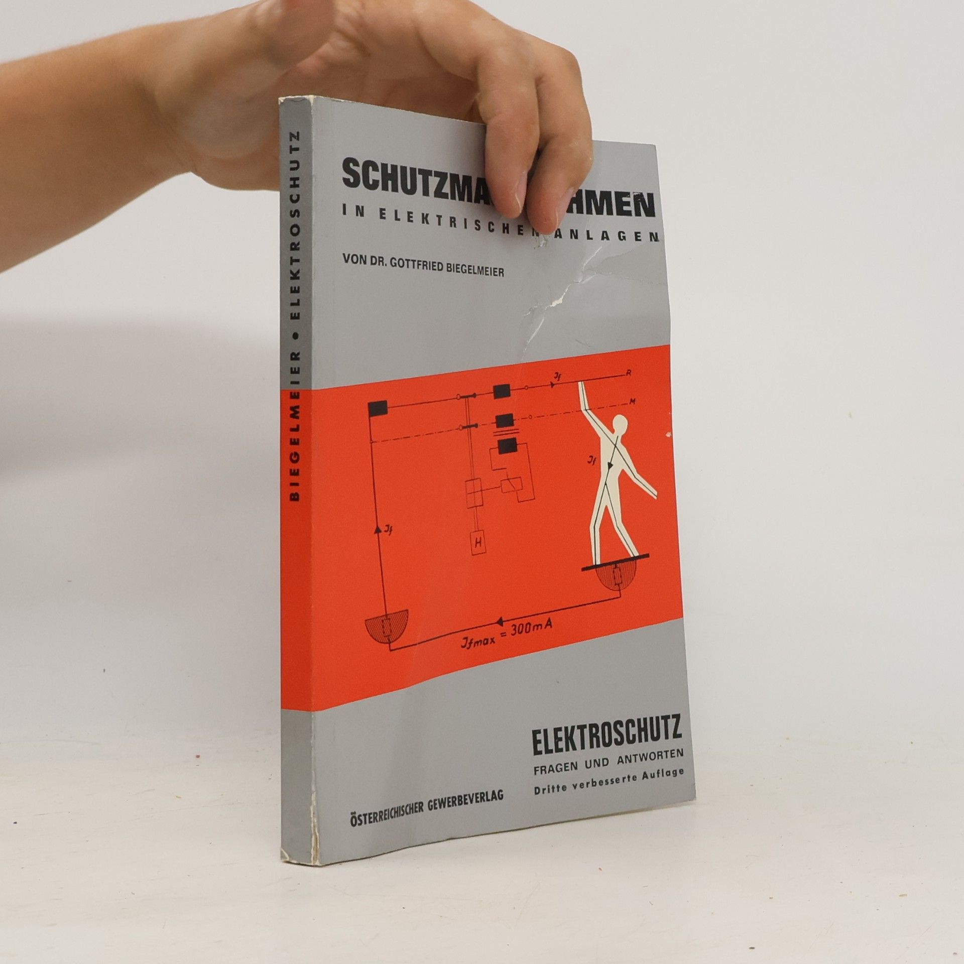 Various authors Schutzmaßnahmen in elektrischen Anlagen. Elektroschutz – Fragen und Antworten