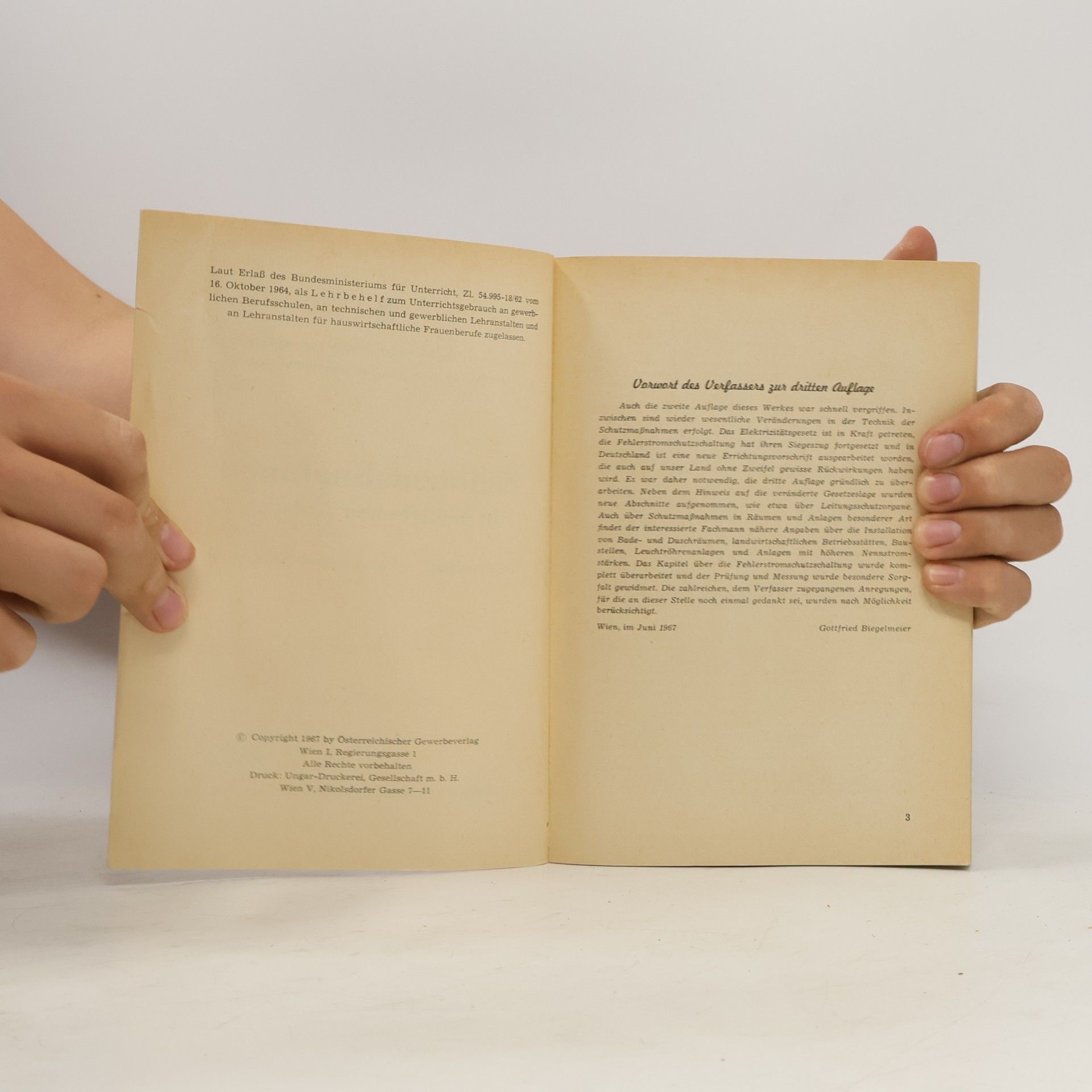 Various authors Schutzmaßnahmen in elektrischen Anlagen. Elektroschutz – Fragen und Antworten