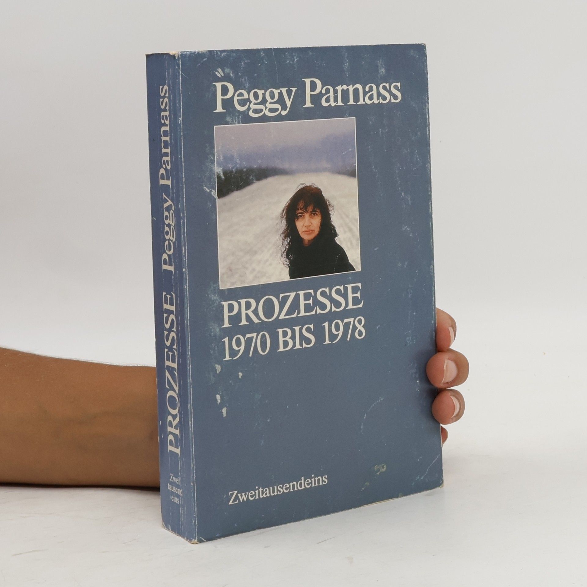 Peggy Parnass Prozesse