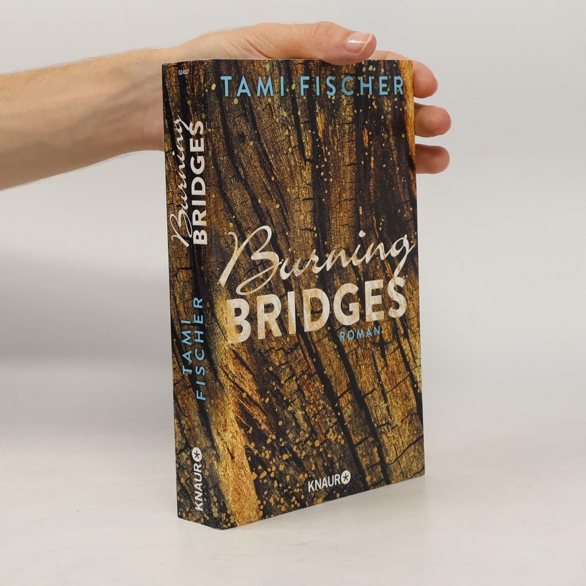 Tami Fischer Burning bridges