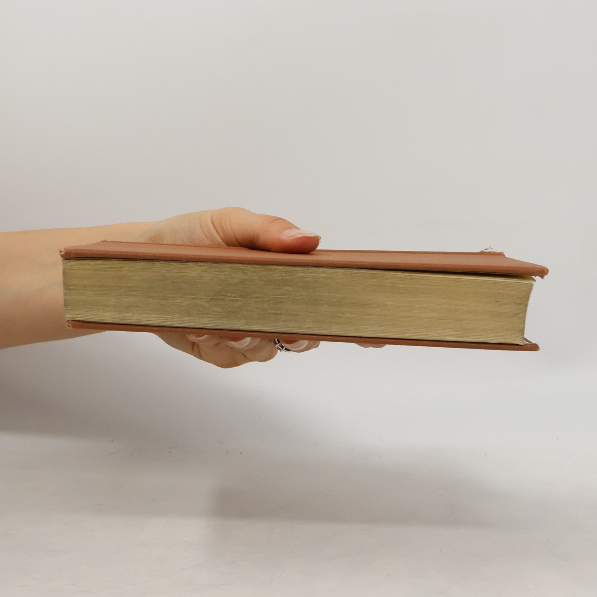 Richard Ernst Dictionary of industrial technics I