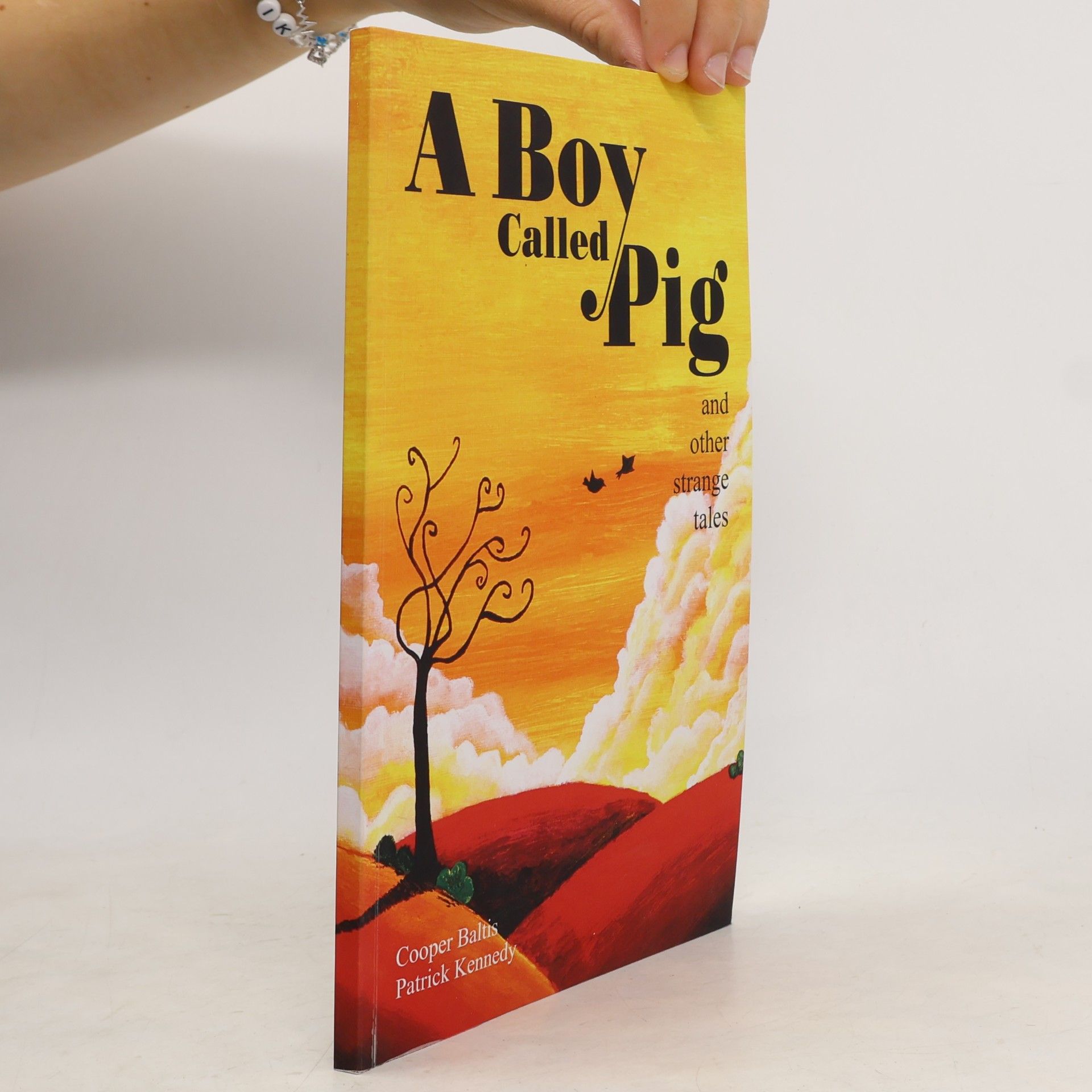 Cooper Baltis A Boy Called Pig