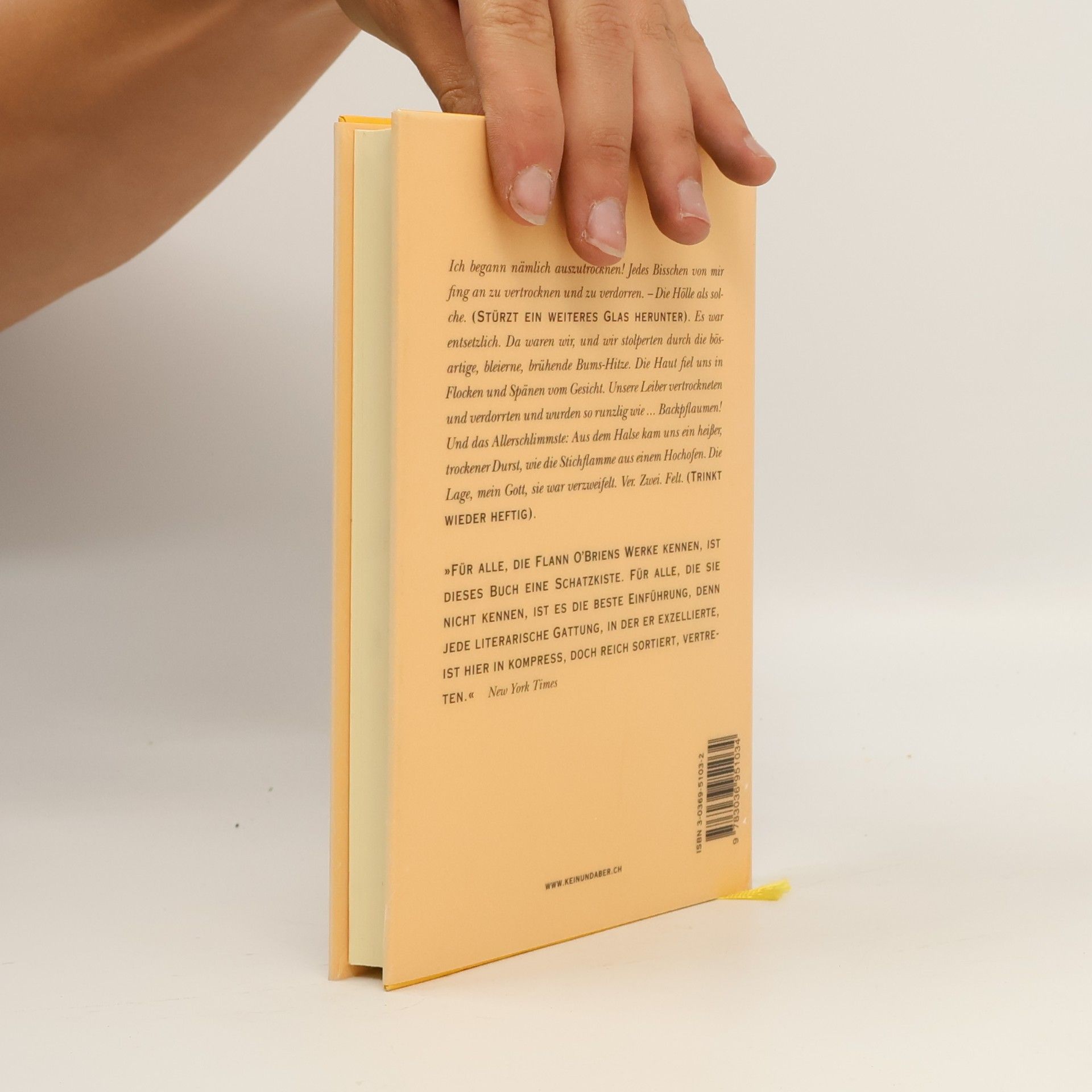 Flann O’Brien Durst und andere dringende Dinge