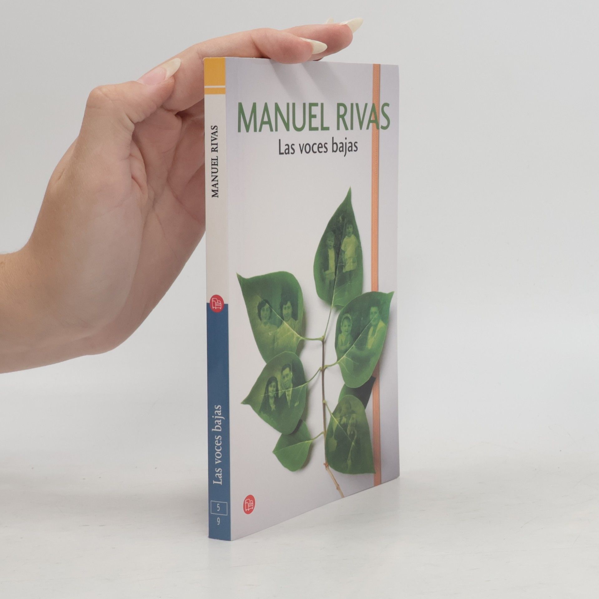Manuel Rivas Las voces bajas