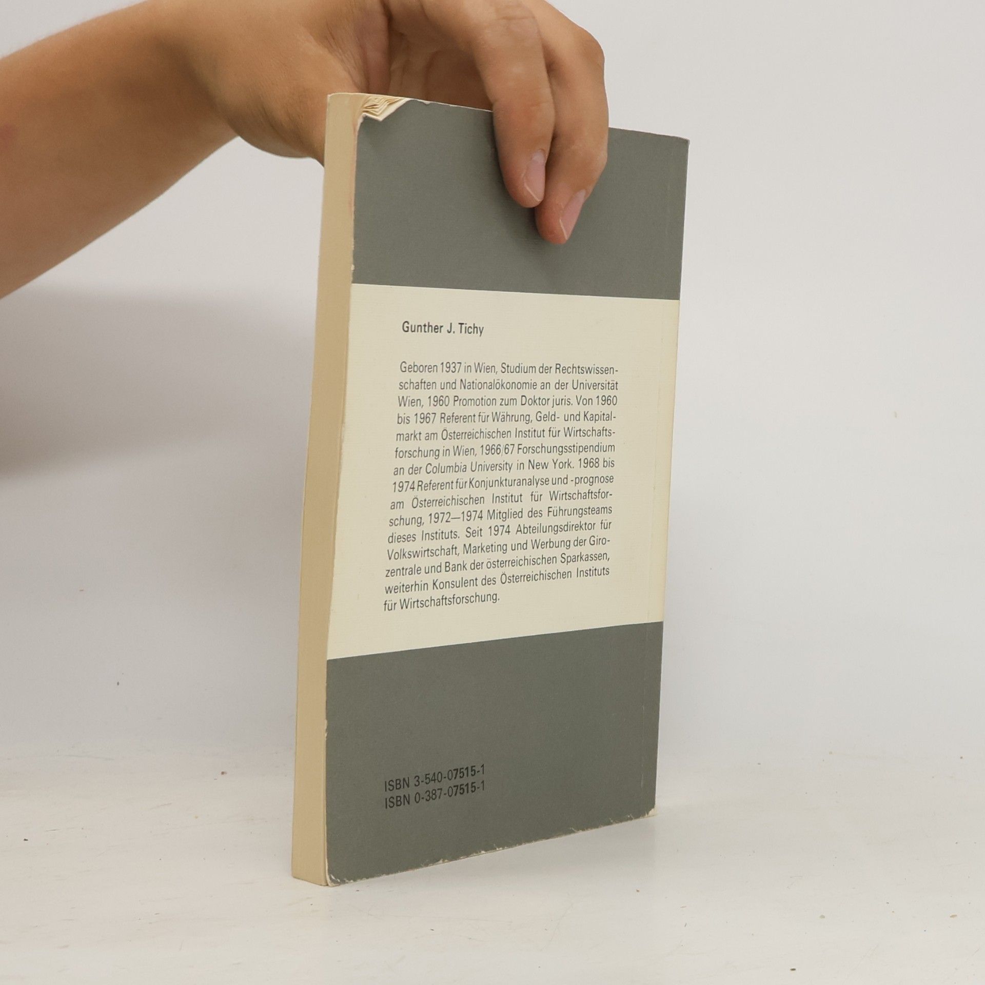 Gunther J. Tichy Heidelberger Taschenbücher - 174: Konjunkturschwankungen