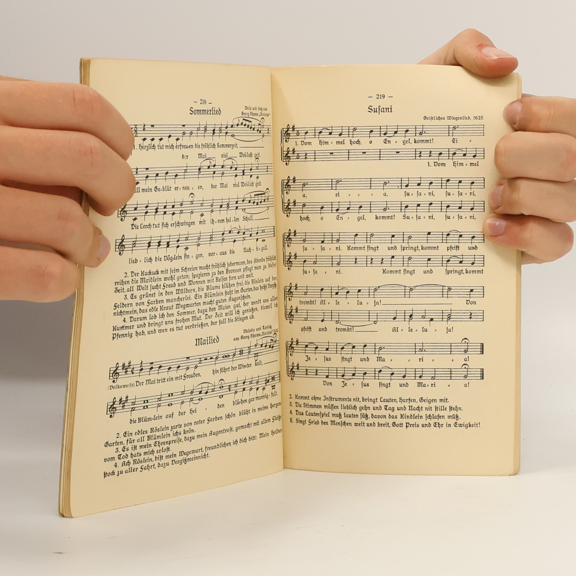 Fritz Jöde Der Musikant 4