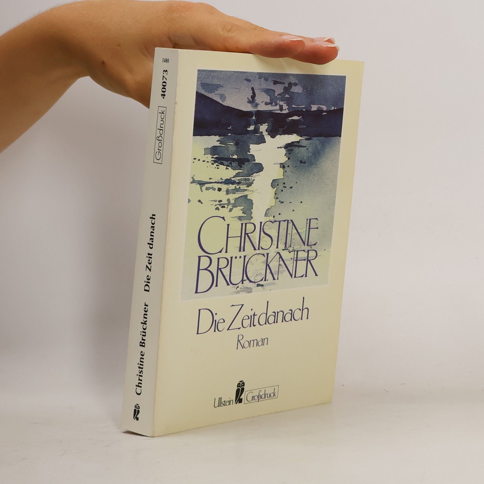 Christine Brückner Die Zeit danach, Großdruck