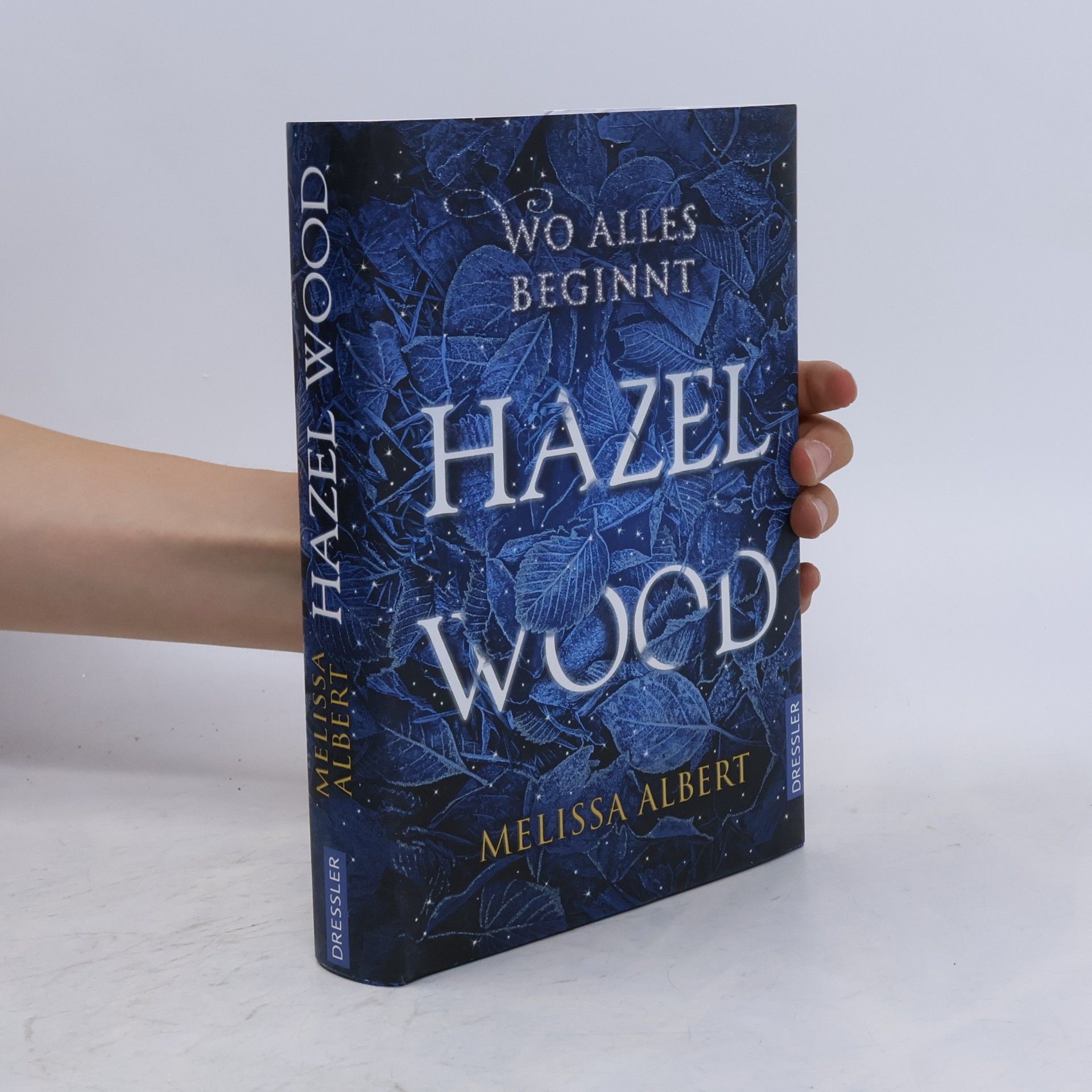 Melissa Albert Hazel Wood: Wo alles beginnt