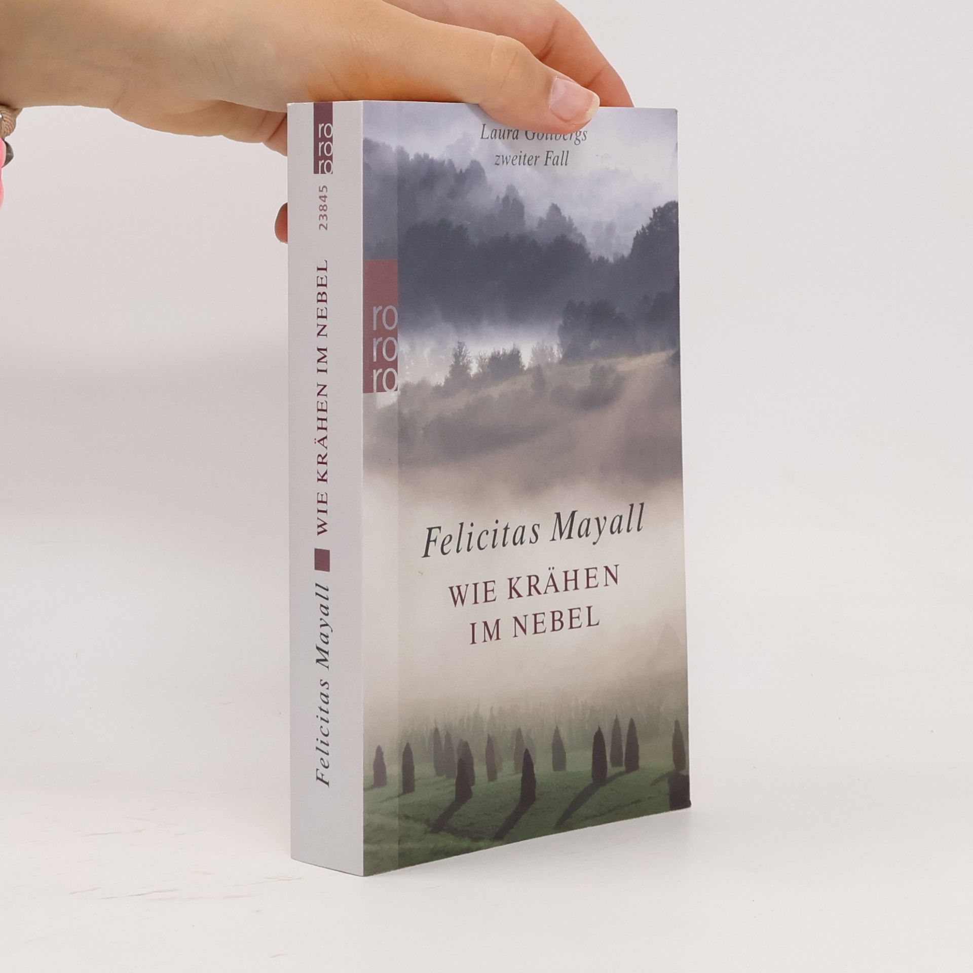 Felicitas Mayall Wie Krähen im Nebel