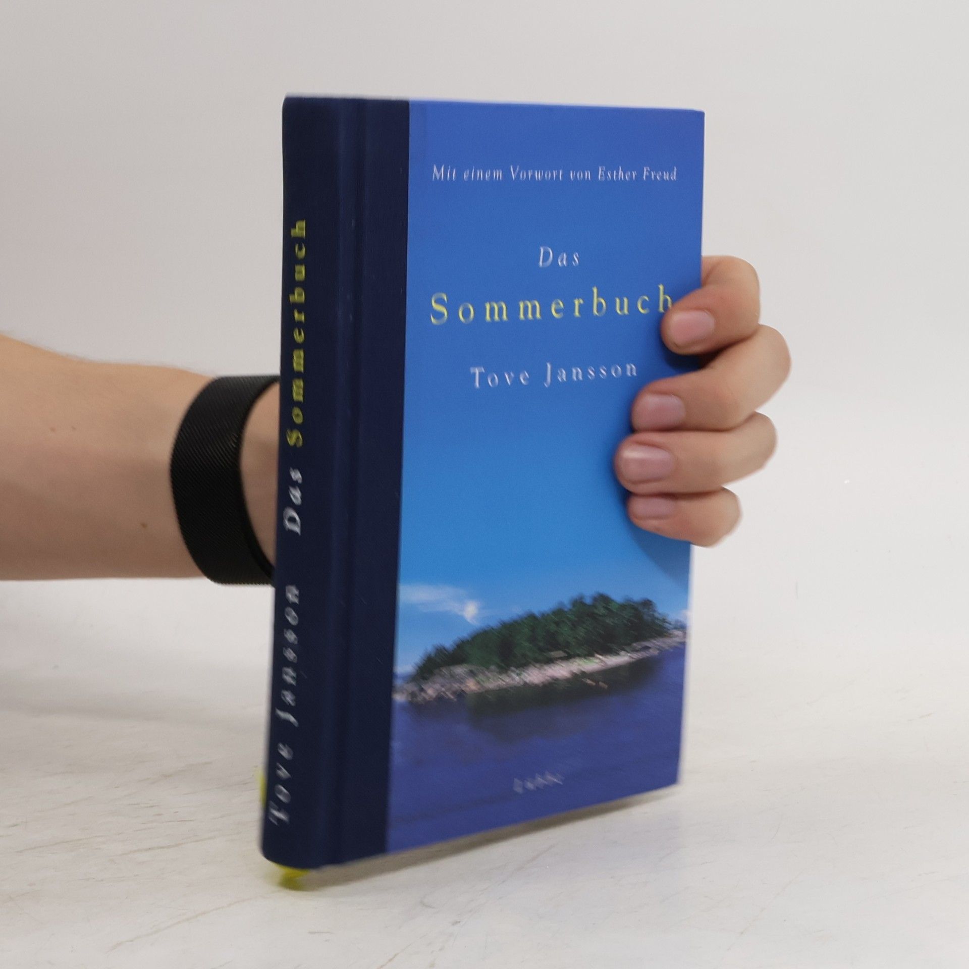 Tove Jansson Das Sommerbuch