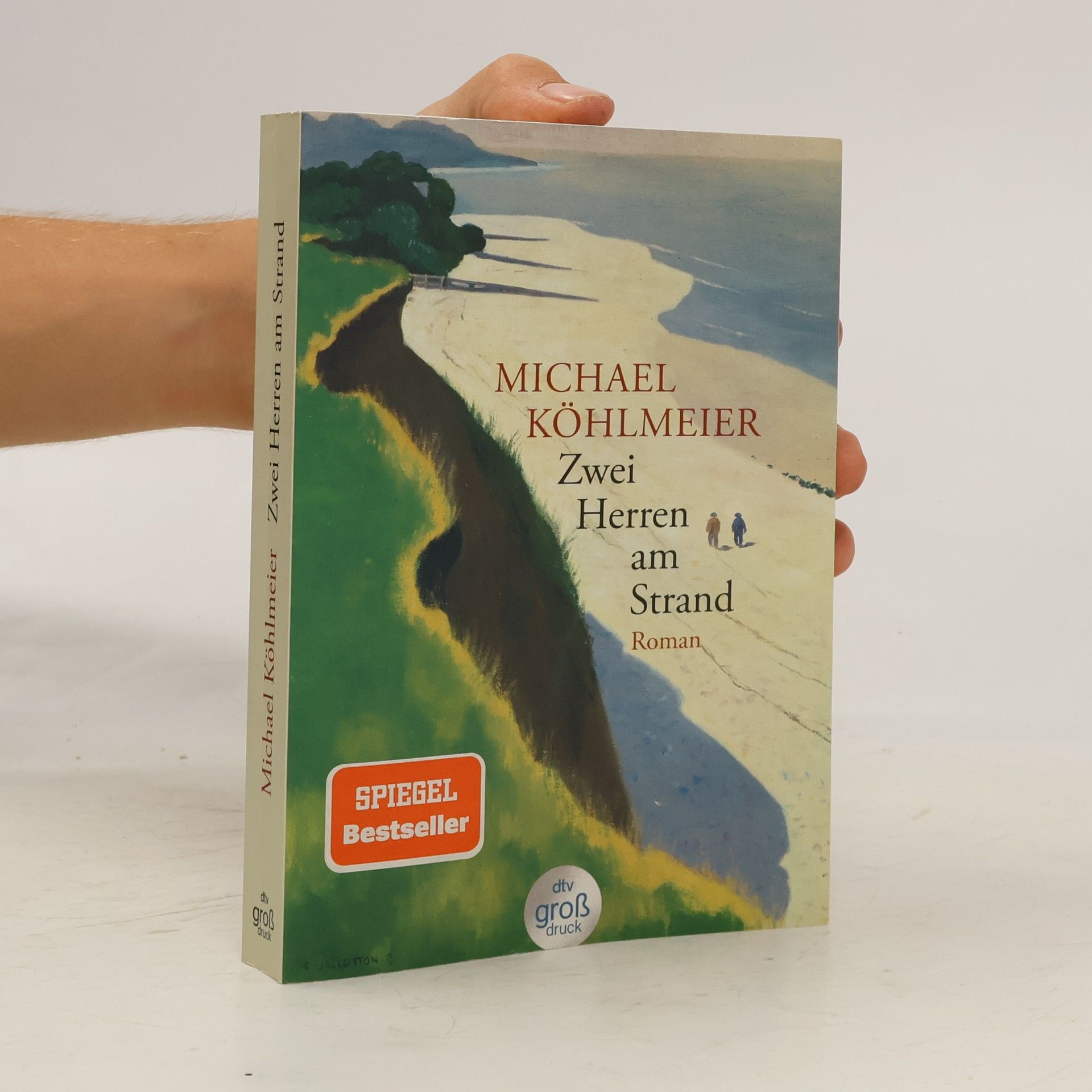 Michael Köhlmeier Zwei Herren am Strand